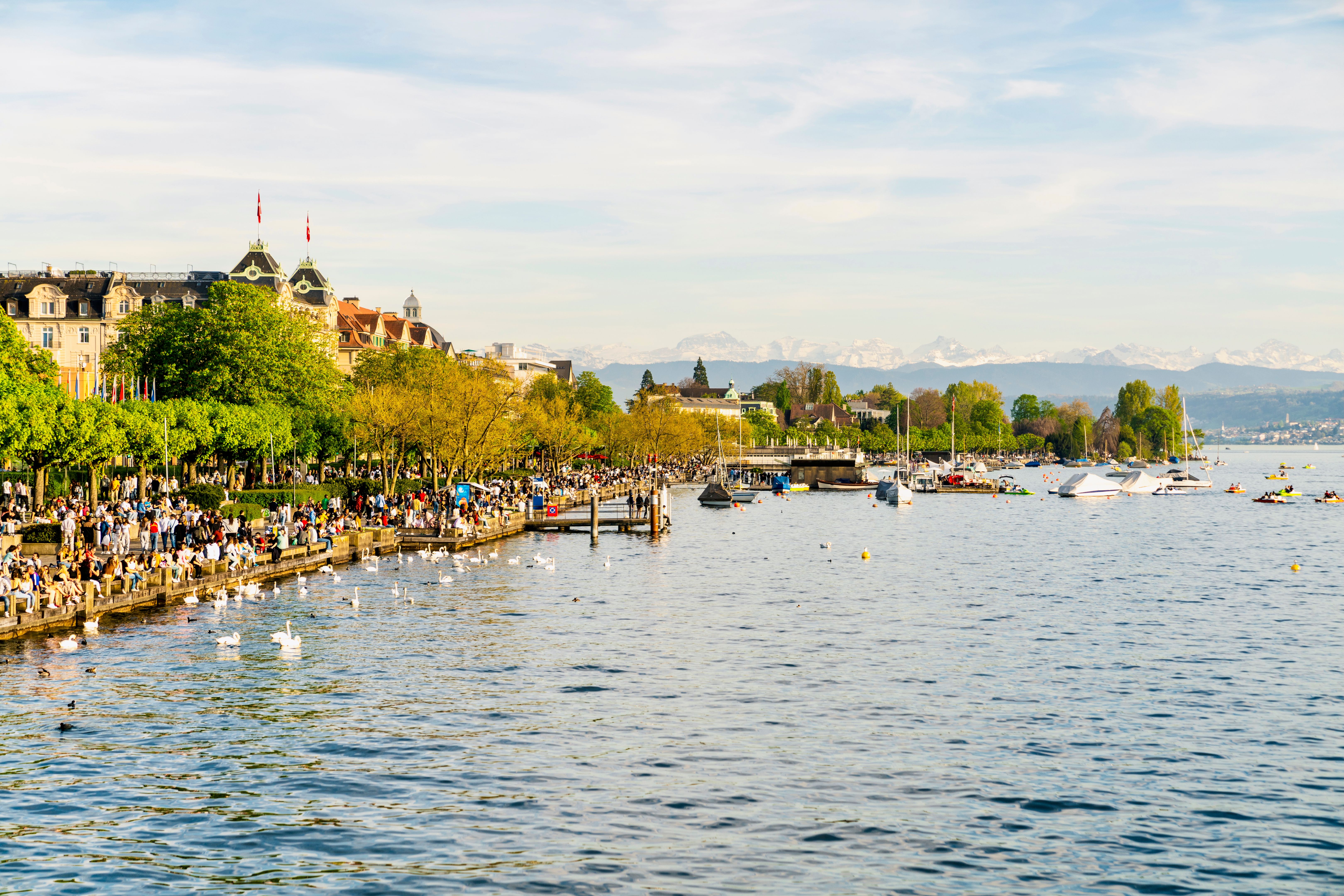 lake zurich businesses