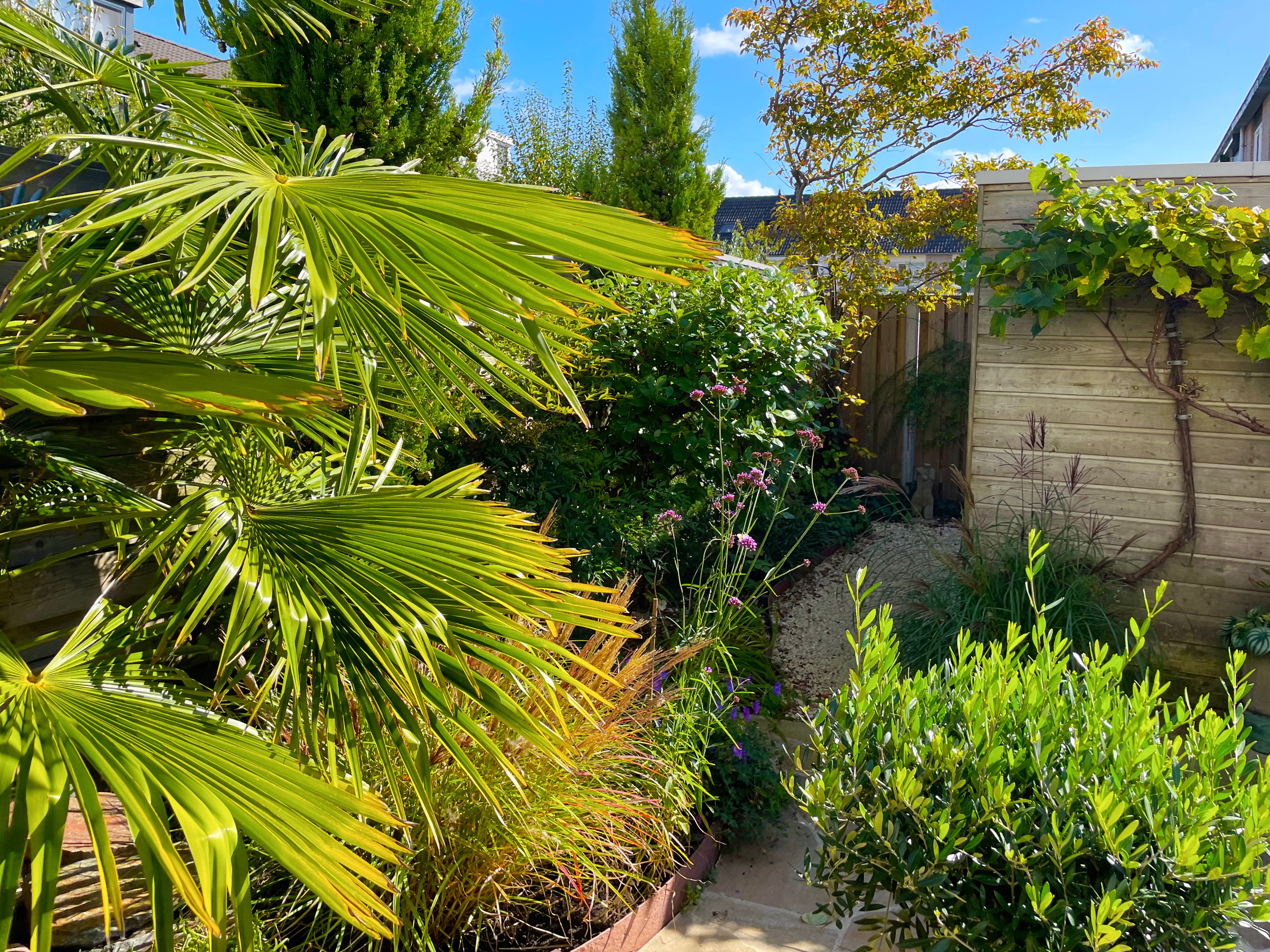 wildlife friendly garden