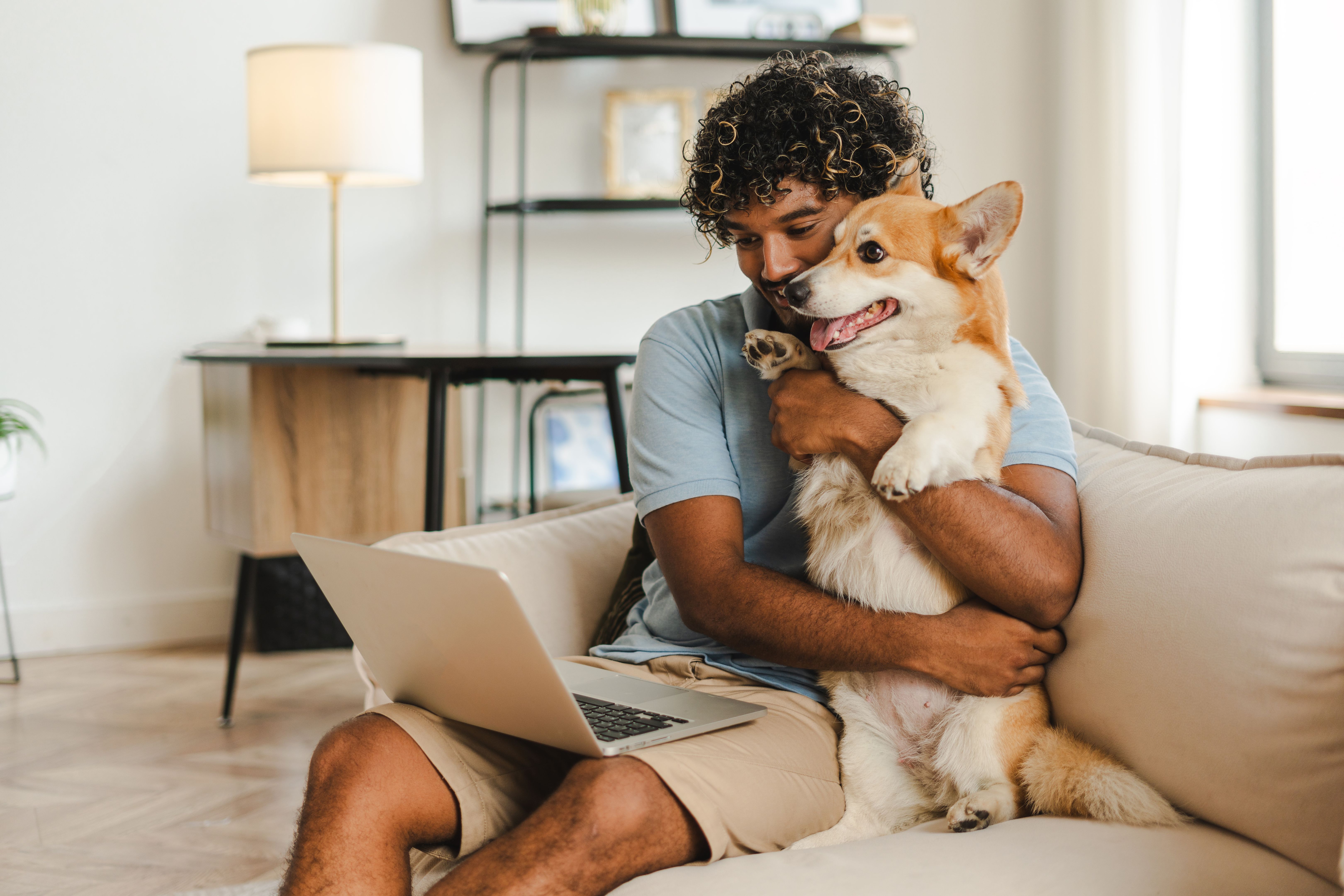 work from home with pet