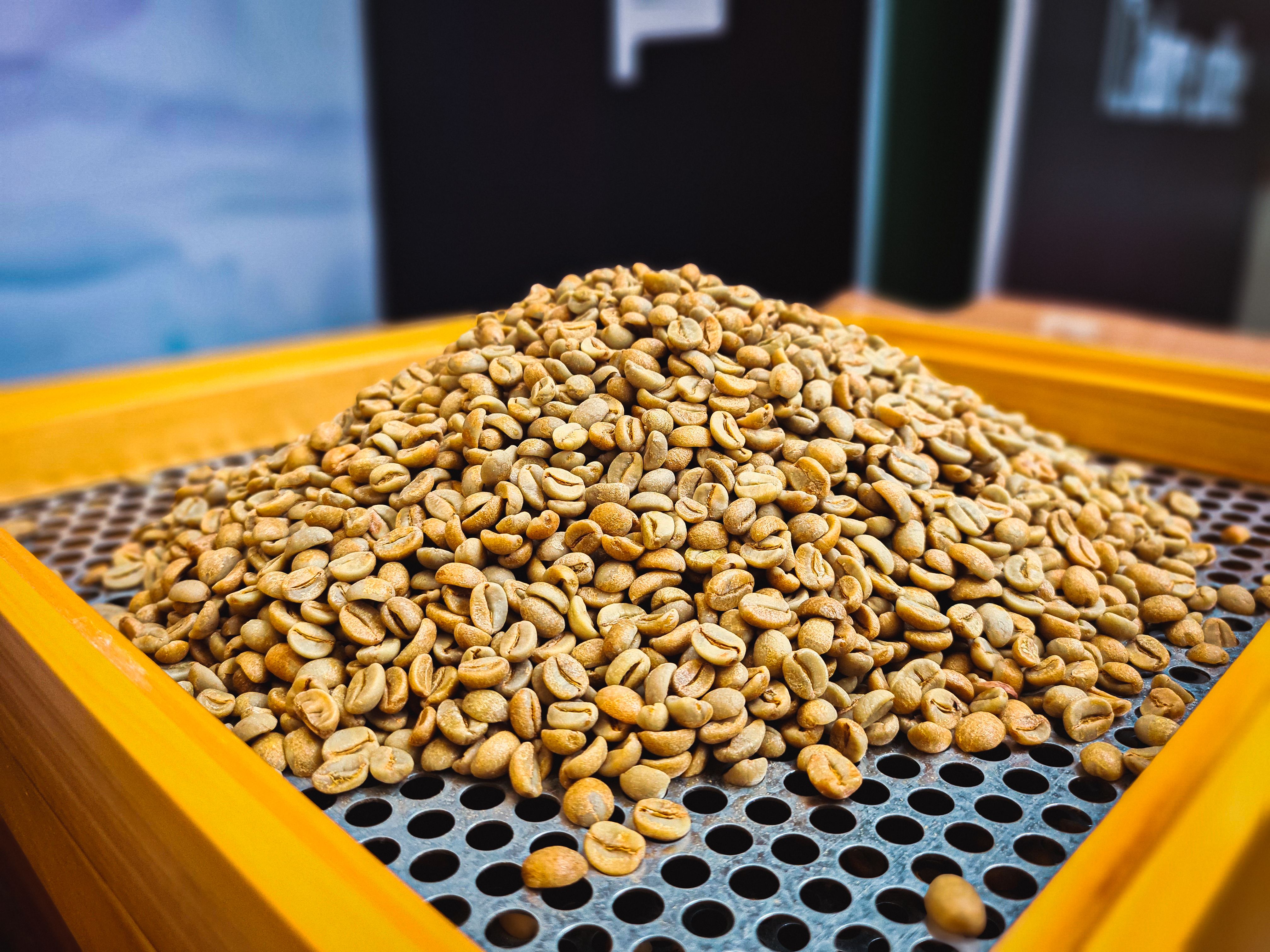 specialty coffee beans