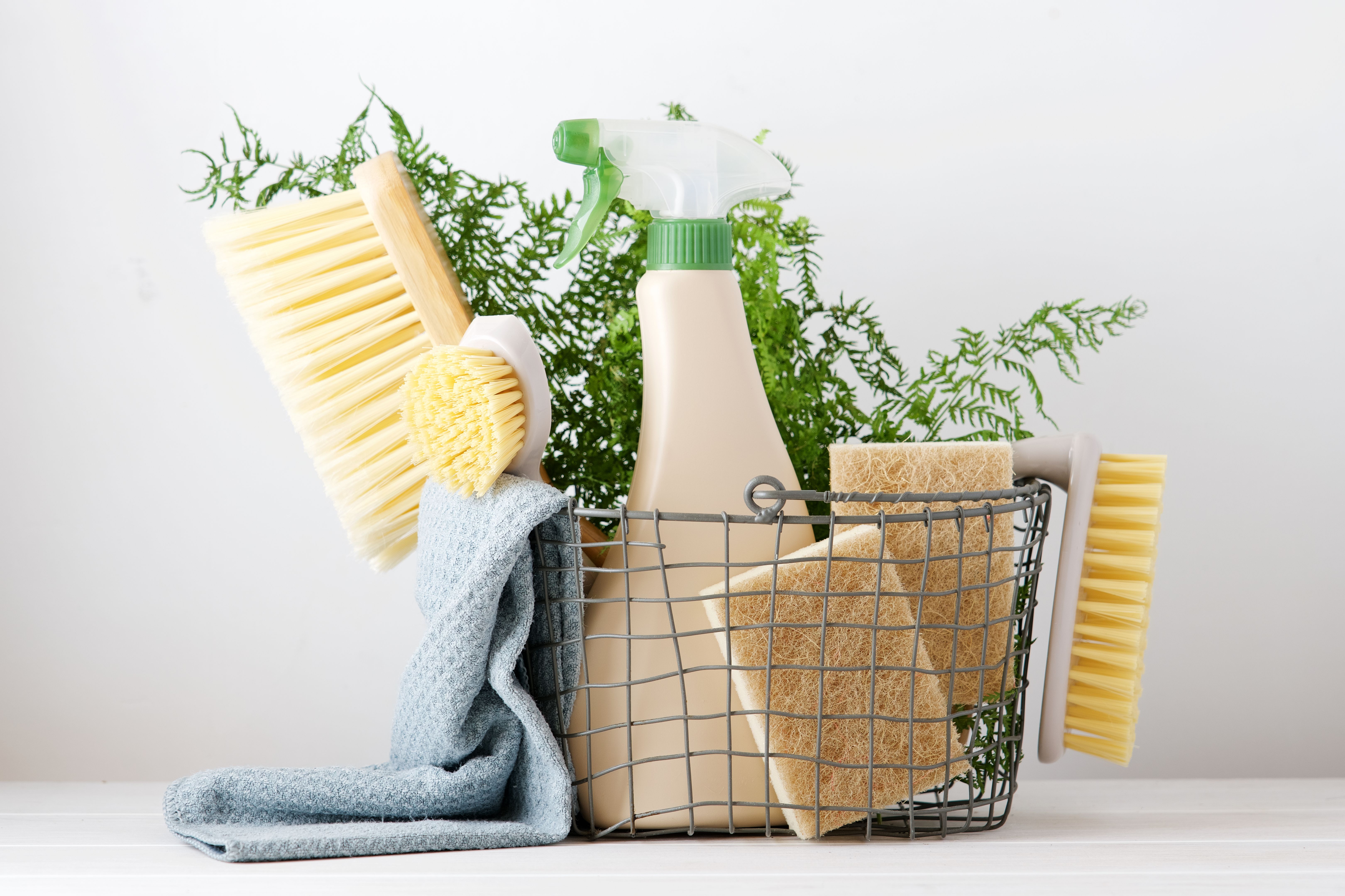 sustainable kitchen