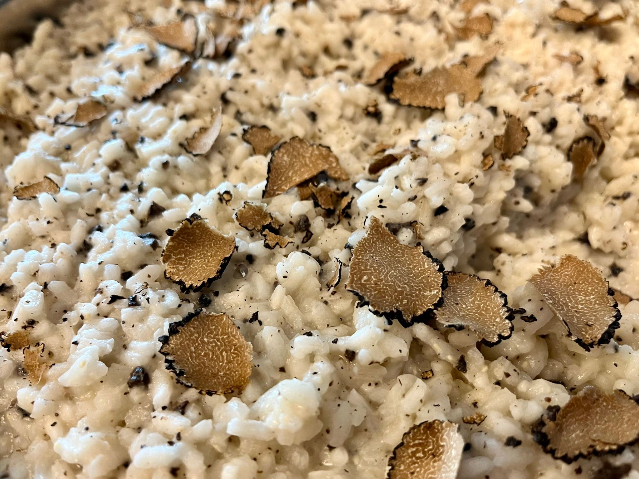 truffle risotto
