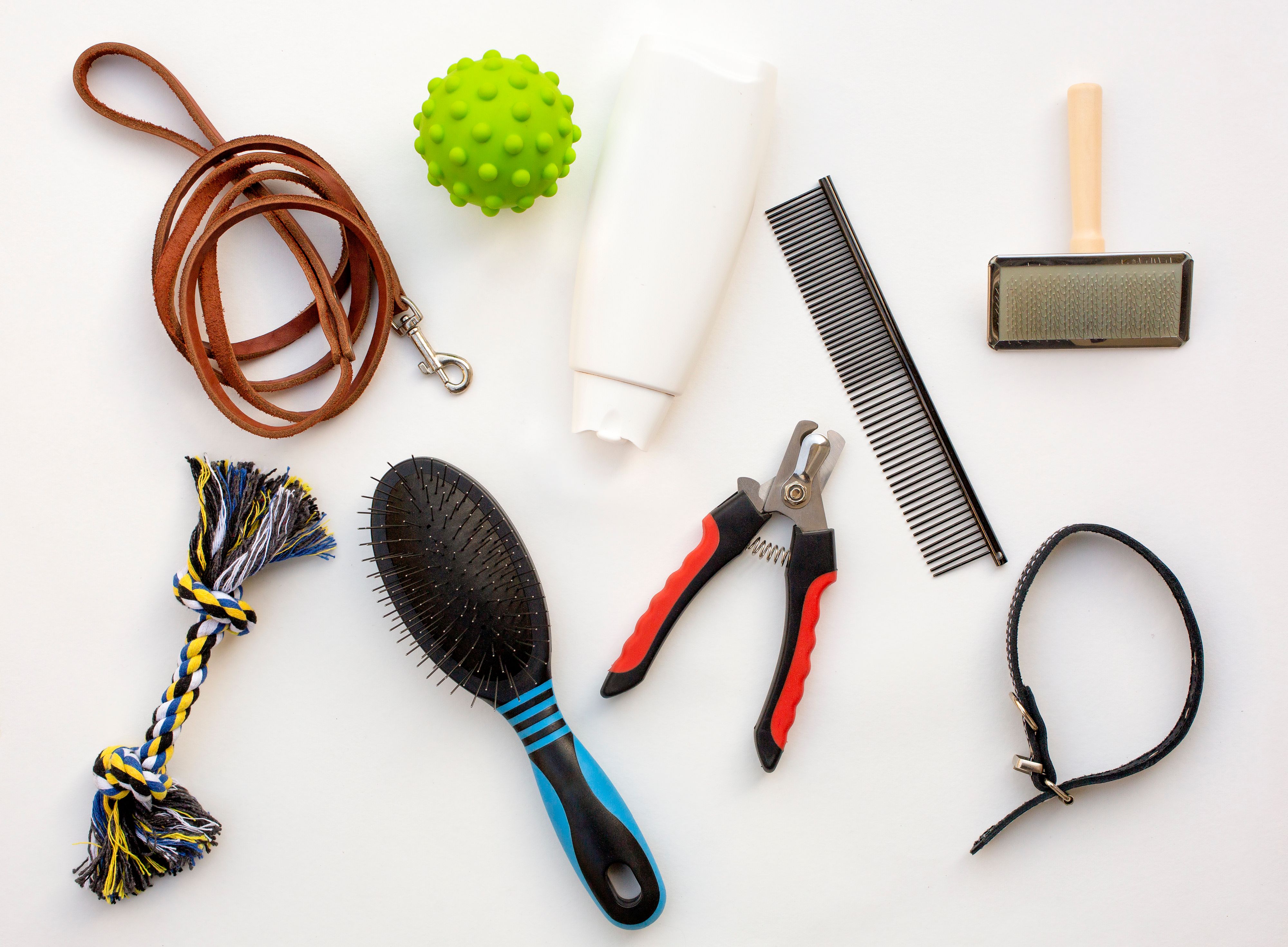 pet grooming equipment