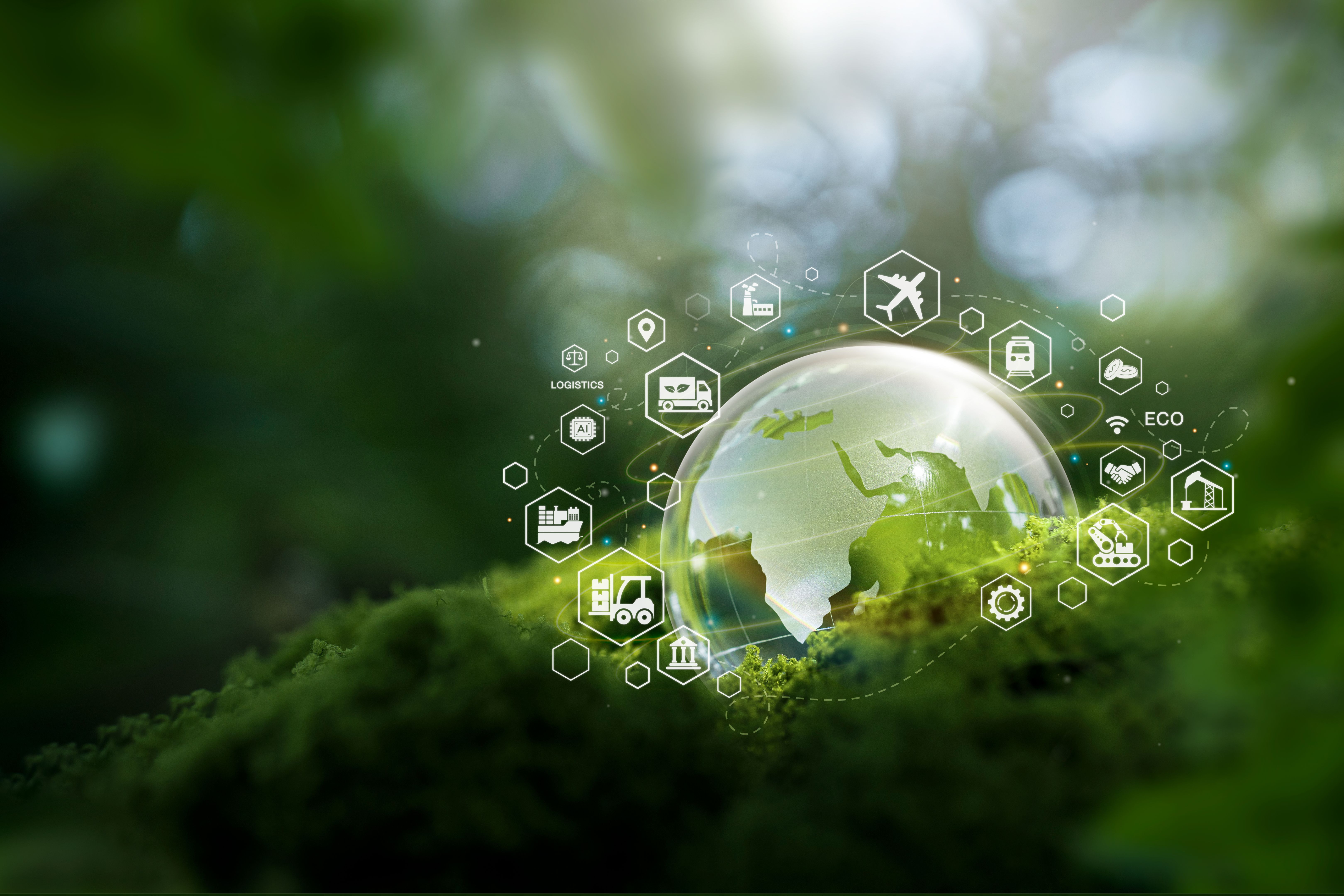 eco friendly delivery