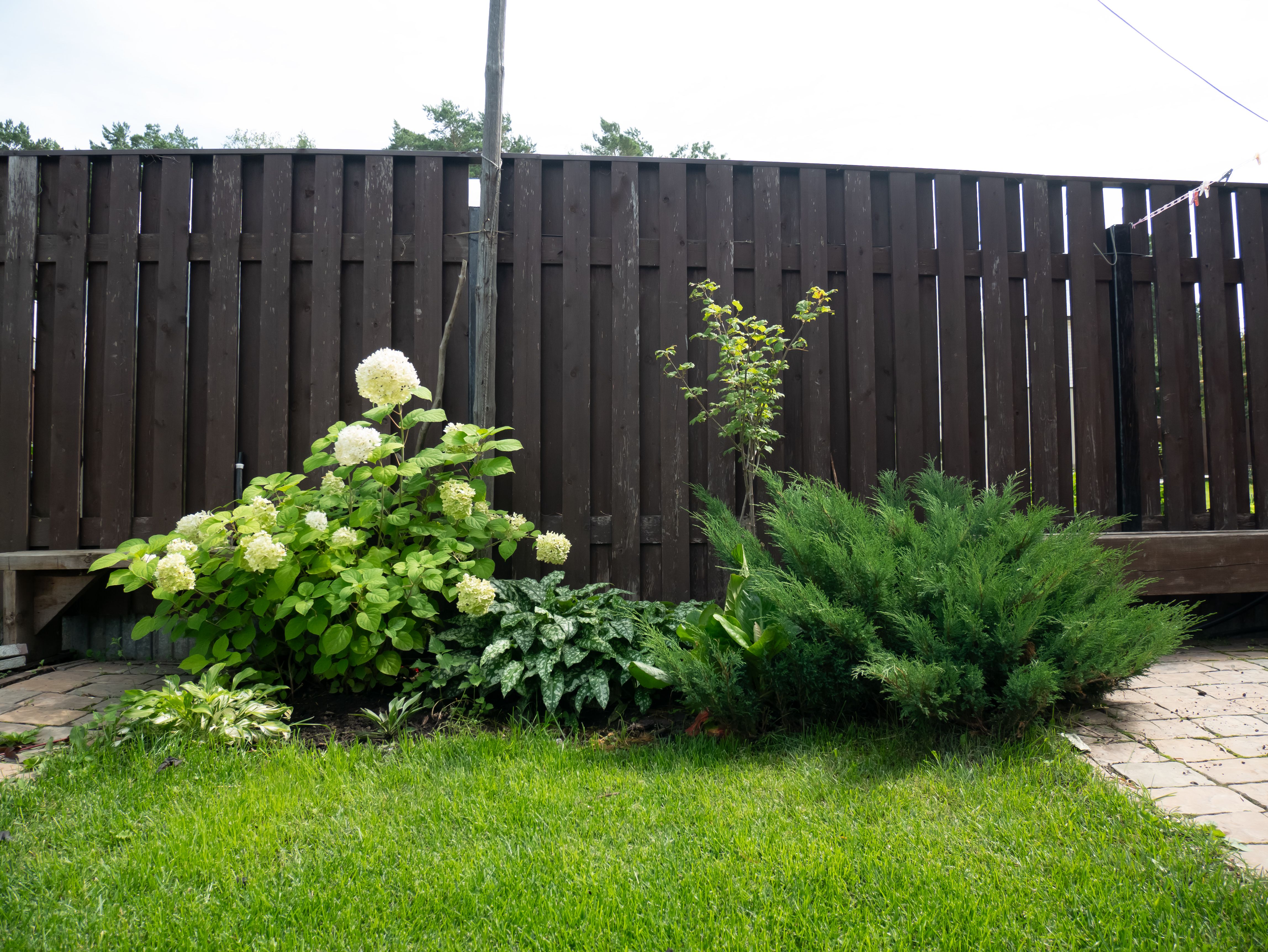 beautiful backyard fence