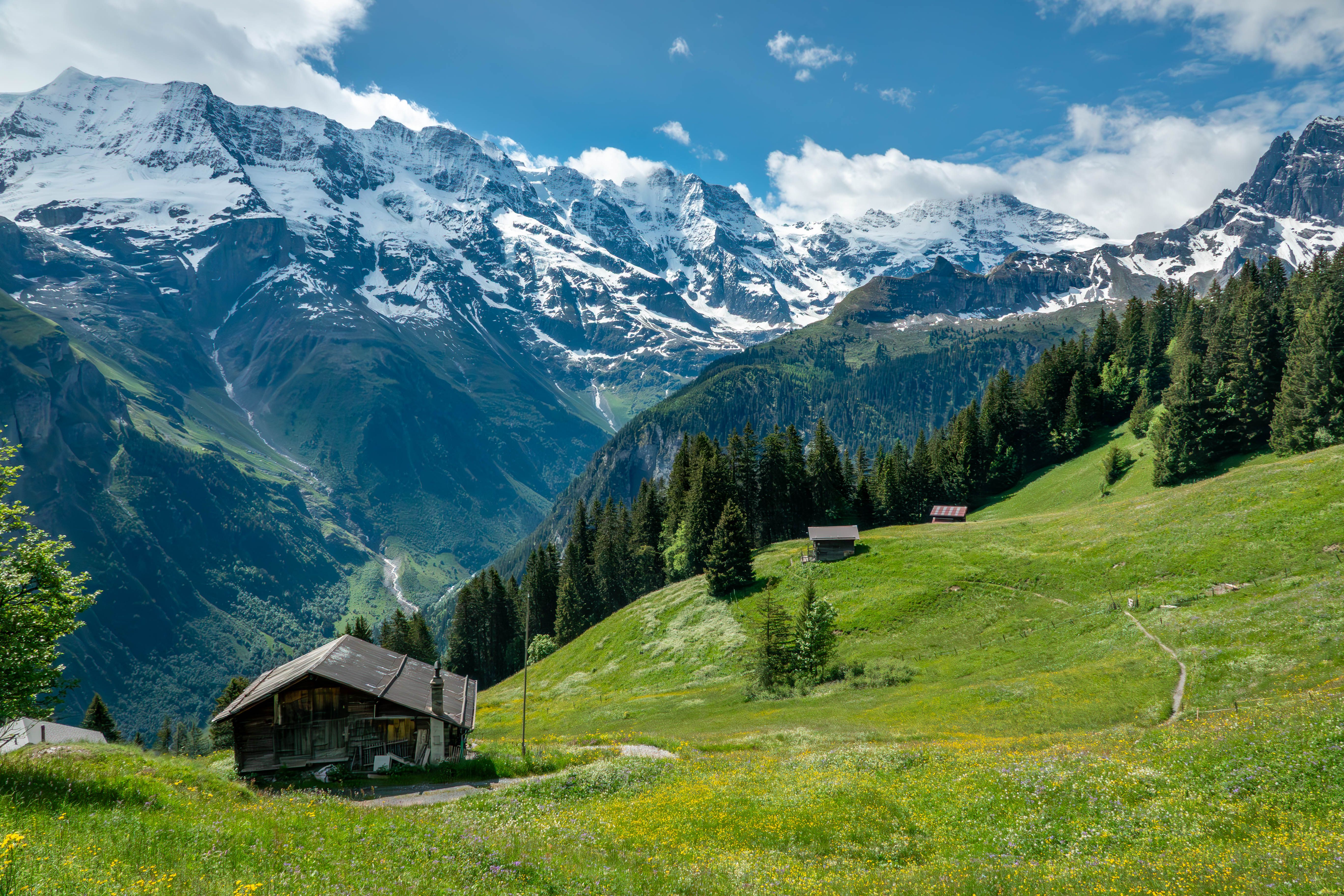 swiss mountains therapy