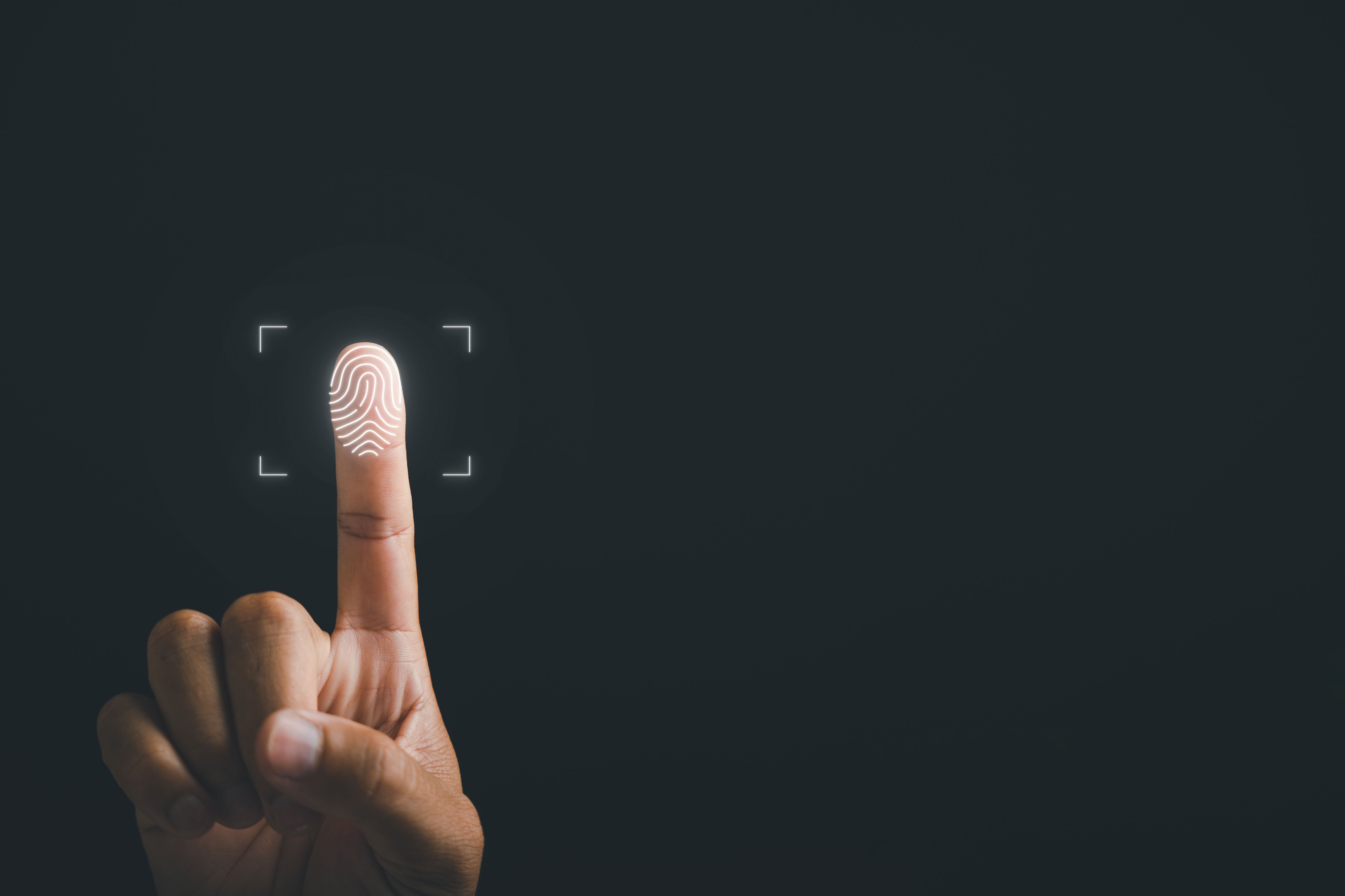 fingerprint identity