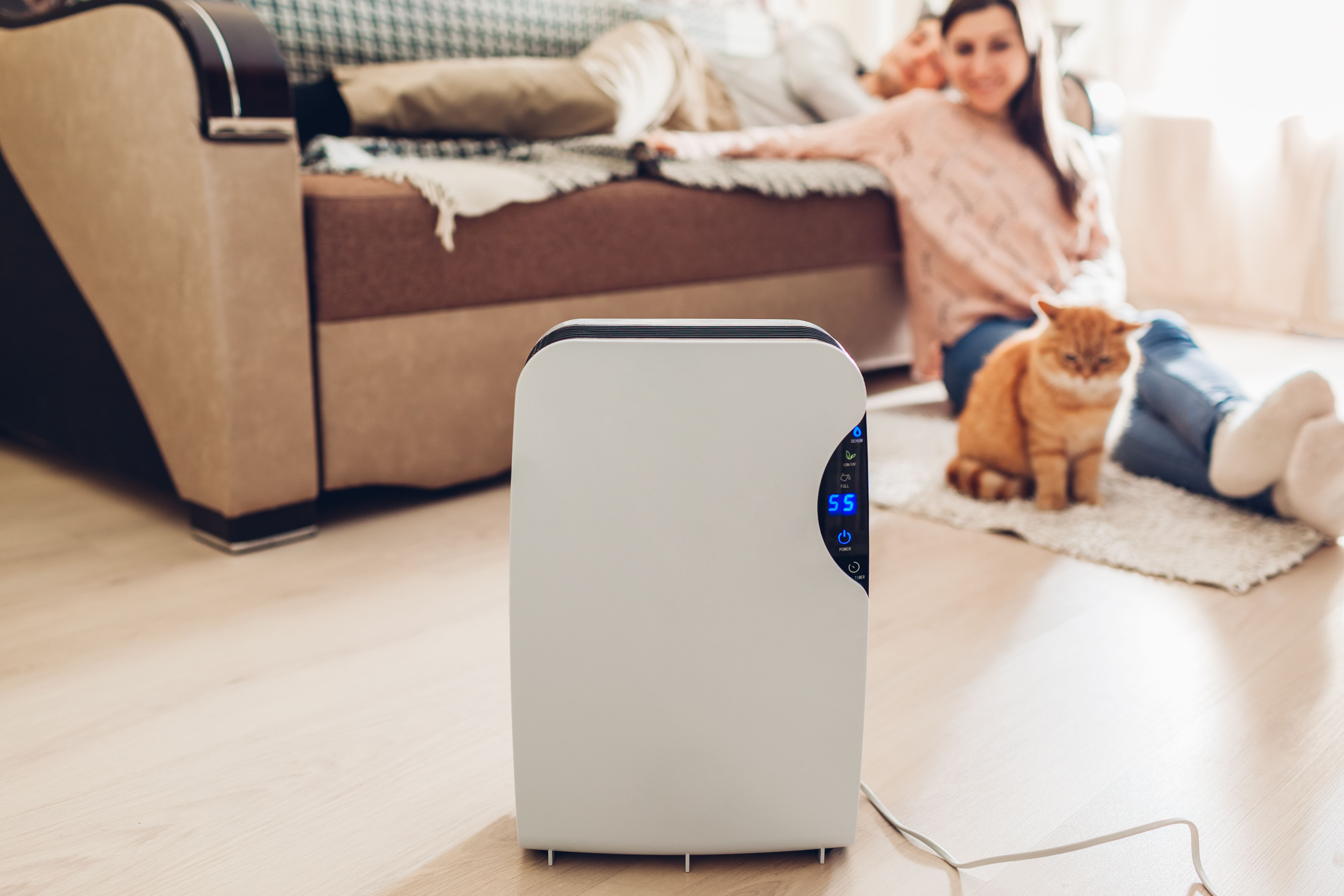 dehumidifier living room