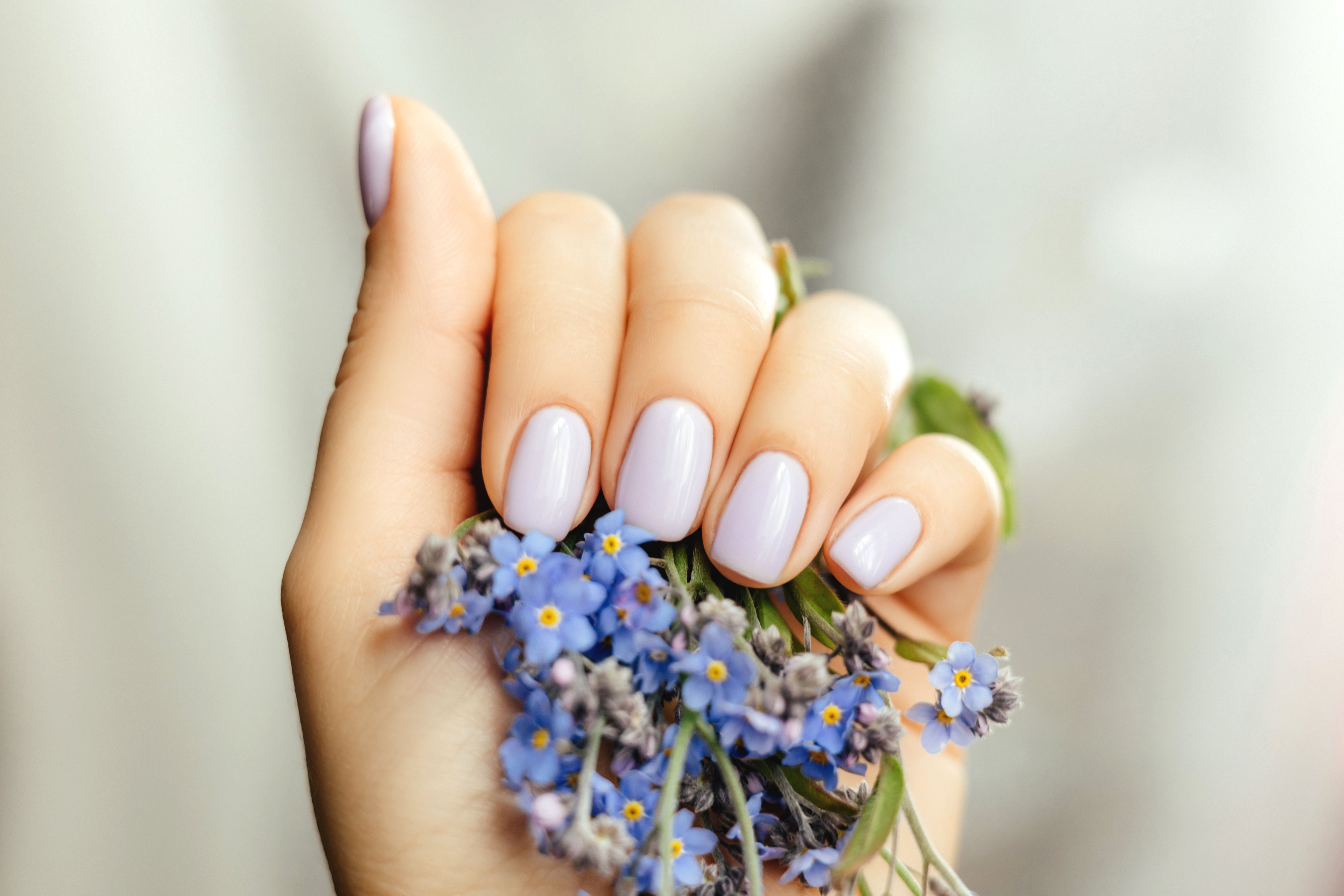 Beautiful purple manicure on a milky background. Beautiful purple manicure on a milky background.
