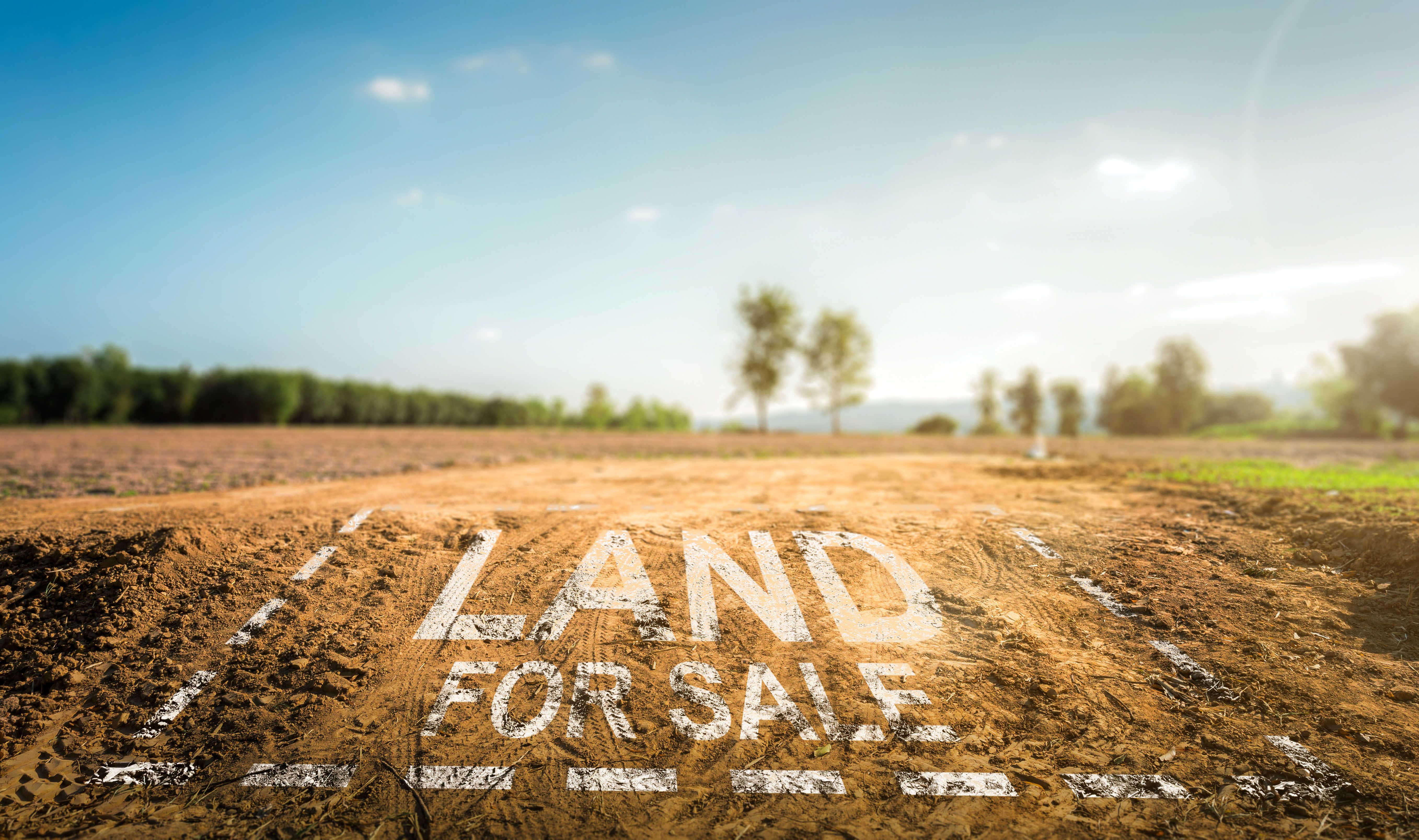 Land plot management - real estate concept with a vacant land on a green field available for building construction and housing subdivision in a residential area for sale.
