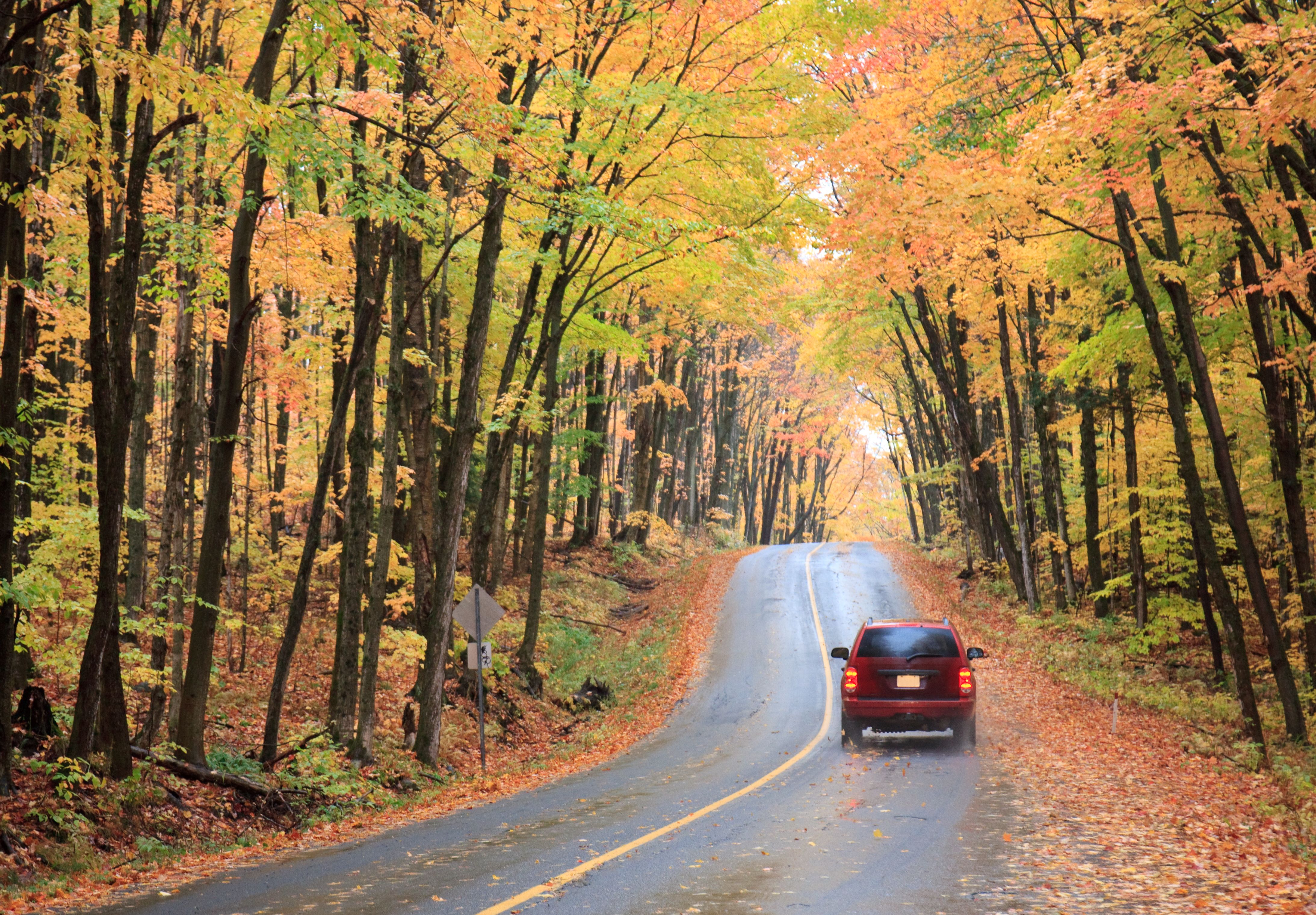 Red Sedan Driving Through Beautiful Fall Highway