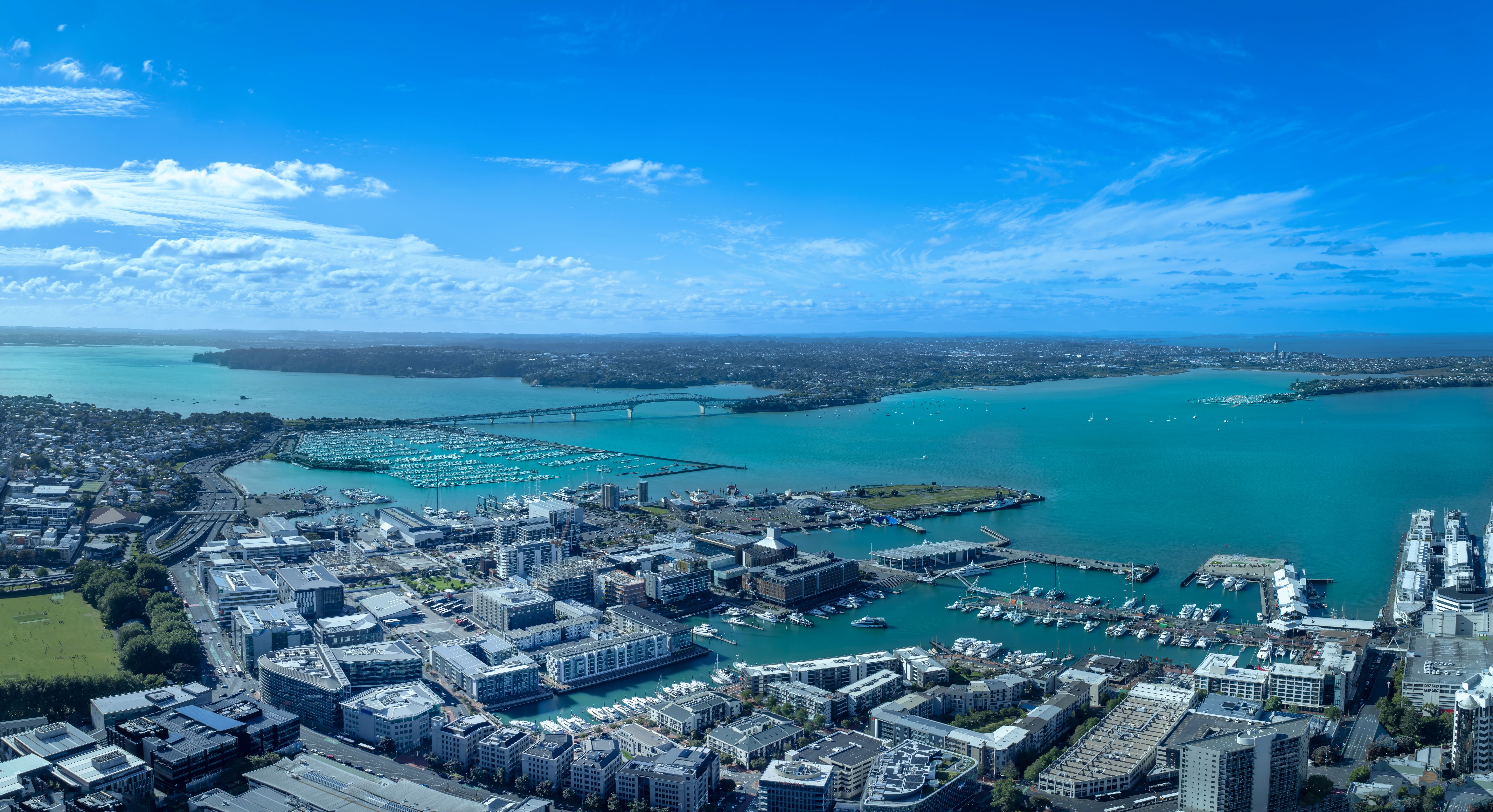 auckland real estate