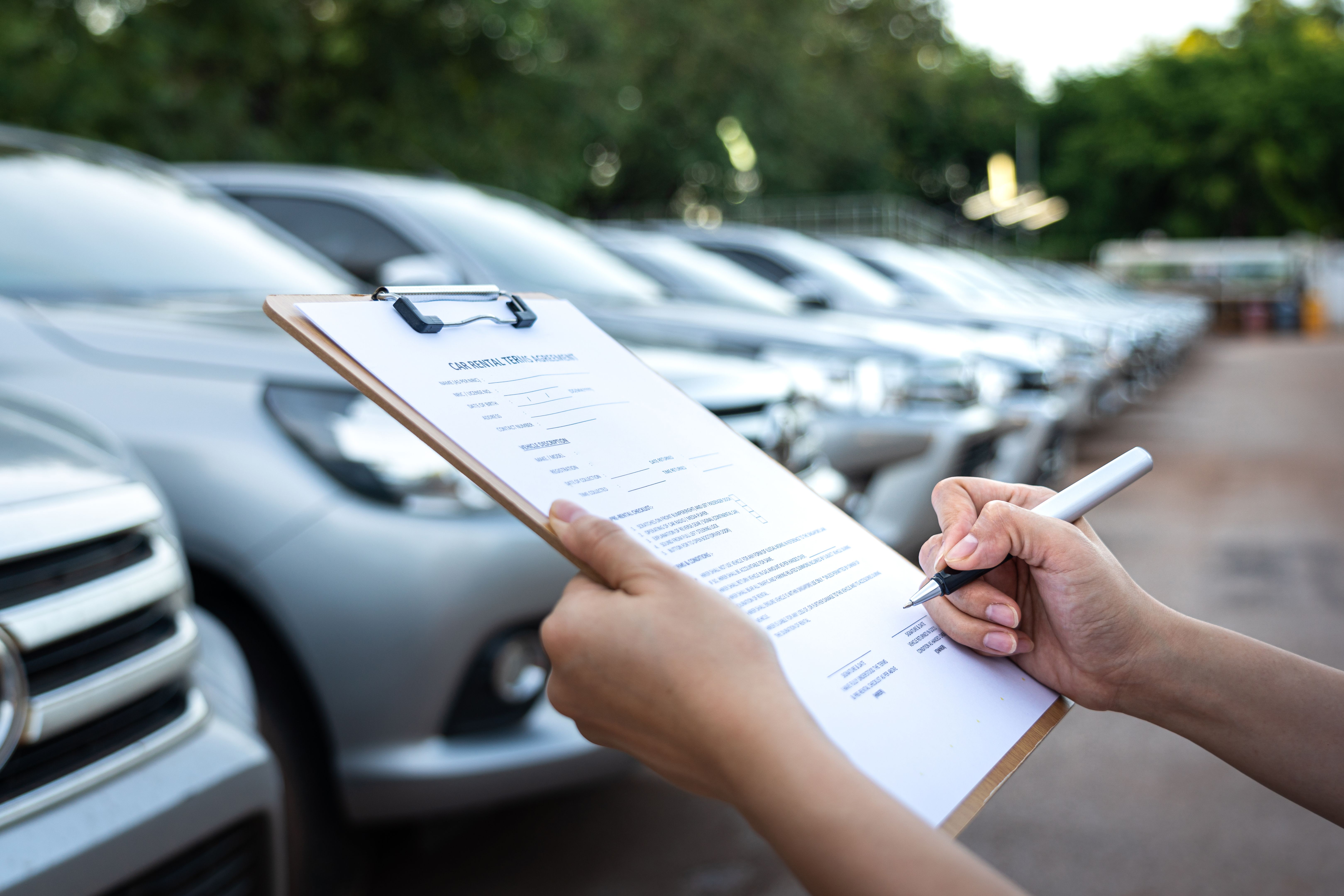 car rental fleet