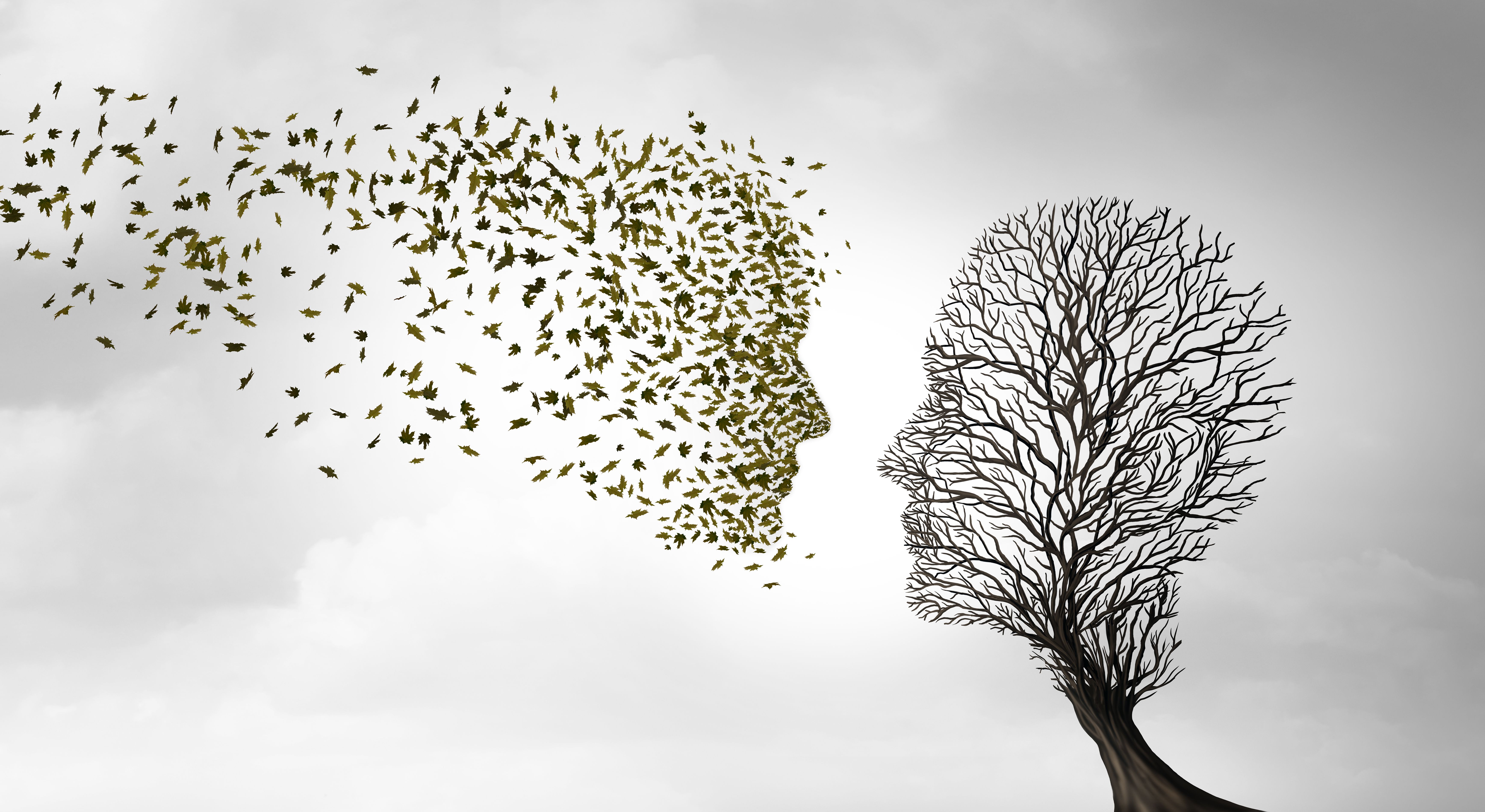 mental wellness journey