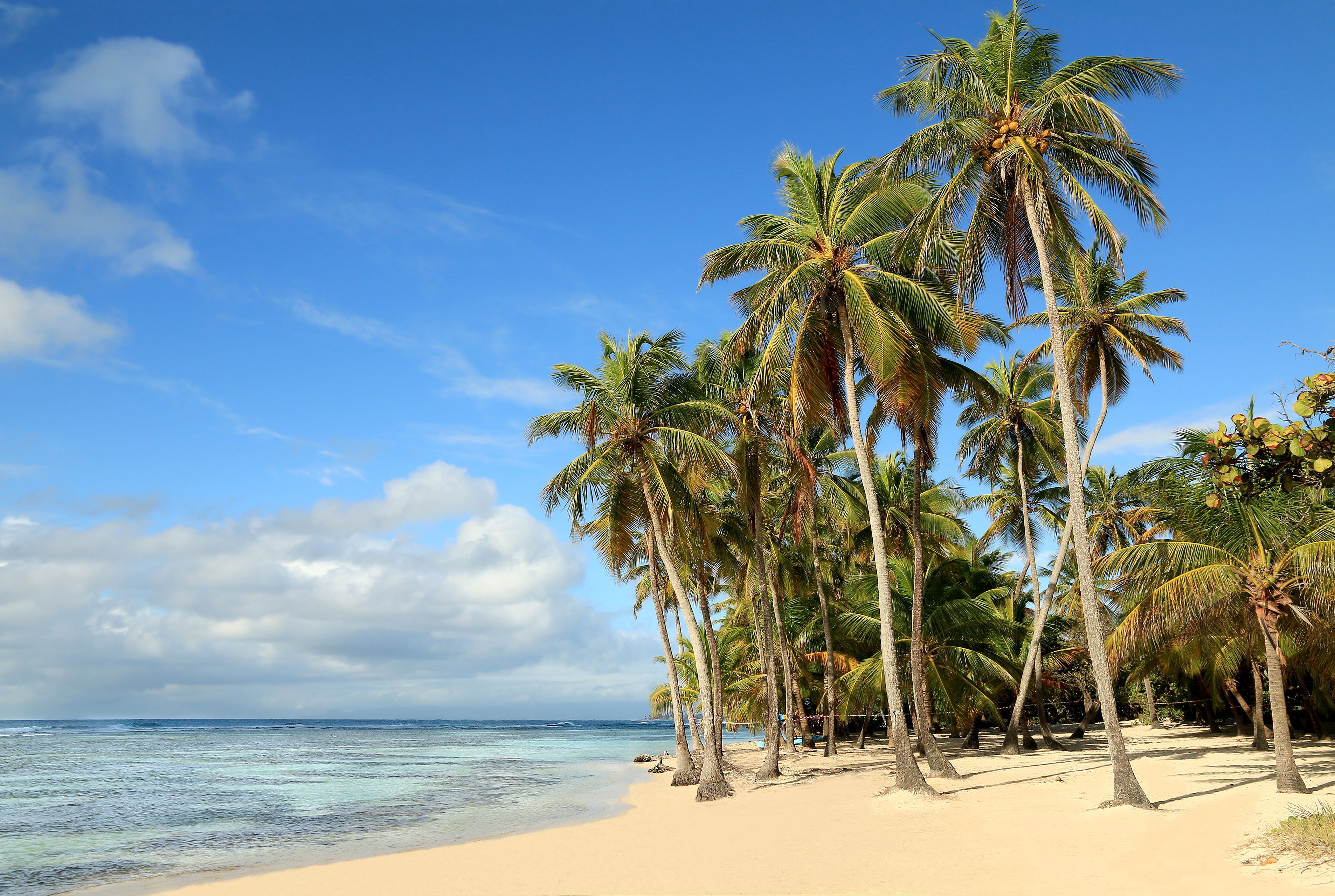 antigua beaches