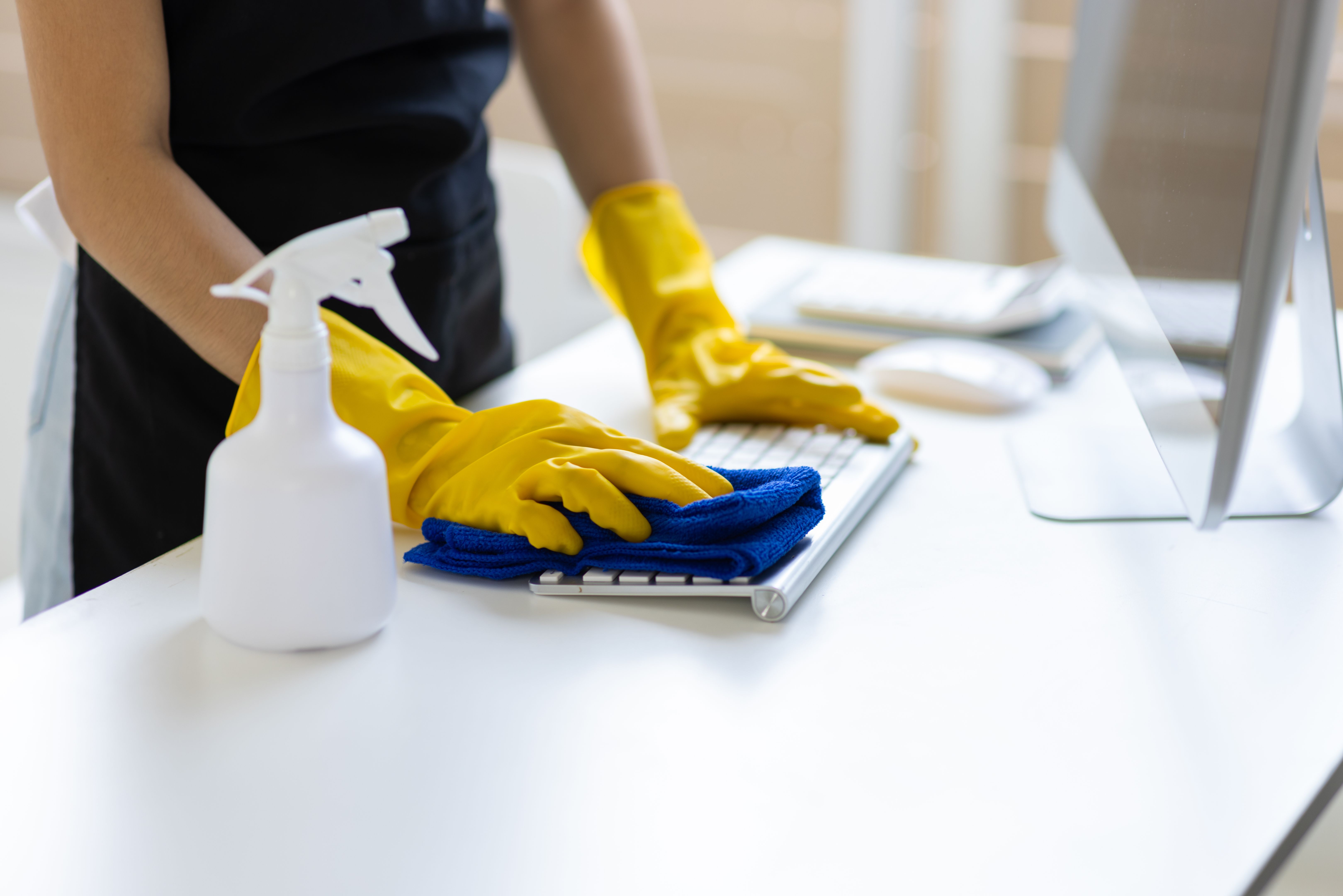 professional cleaning