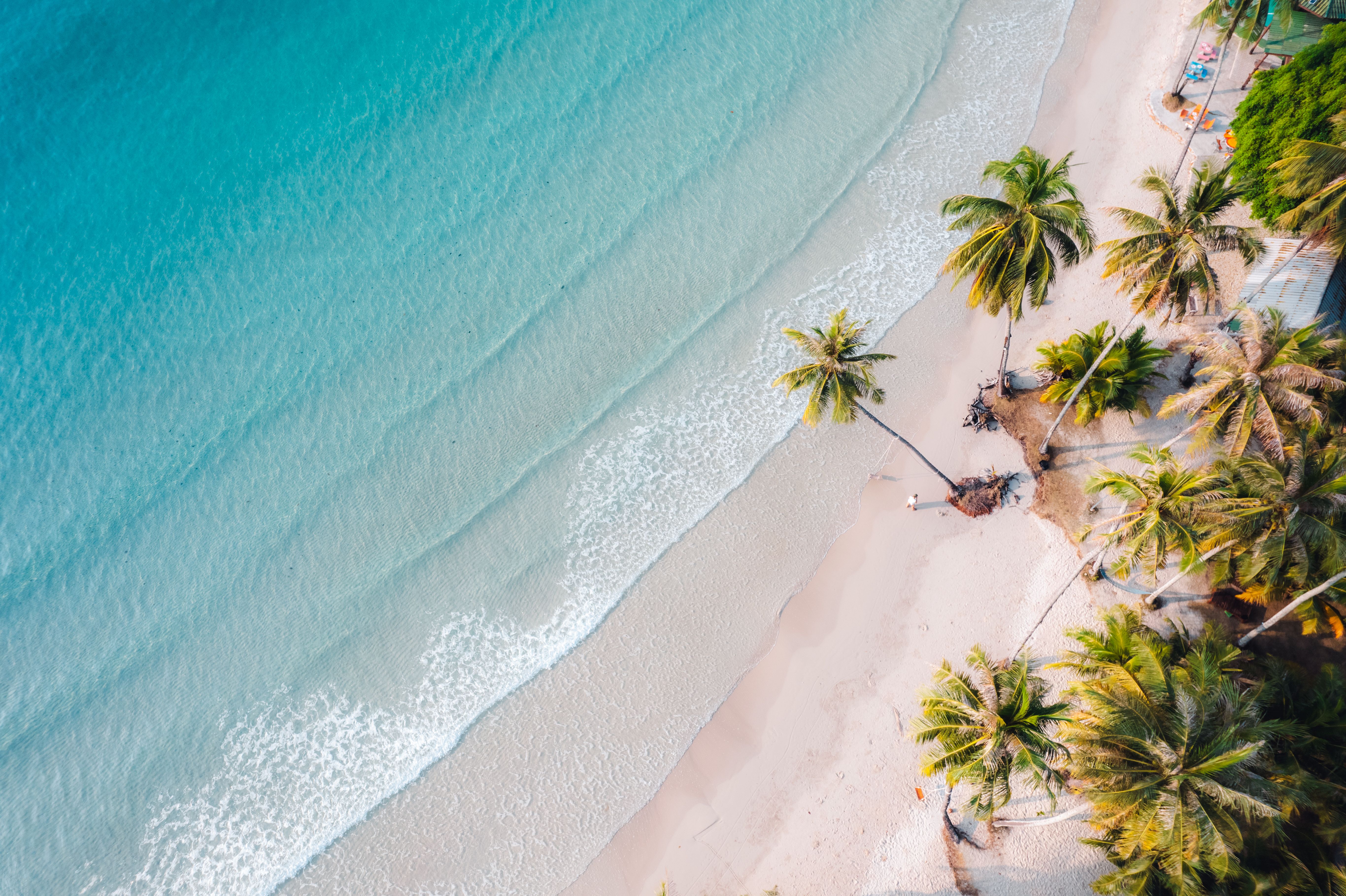 tropical climate