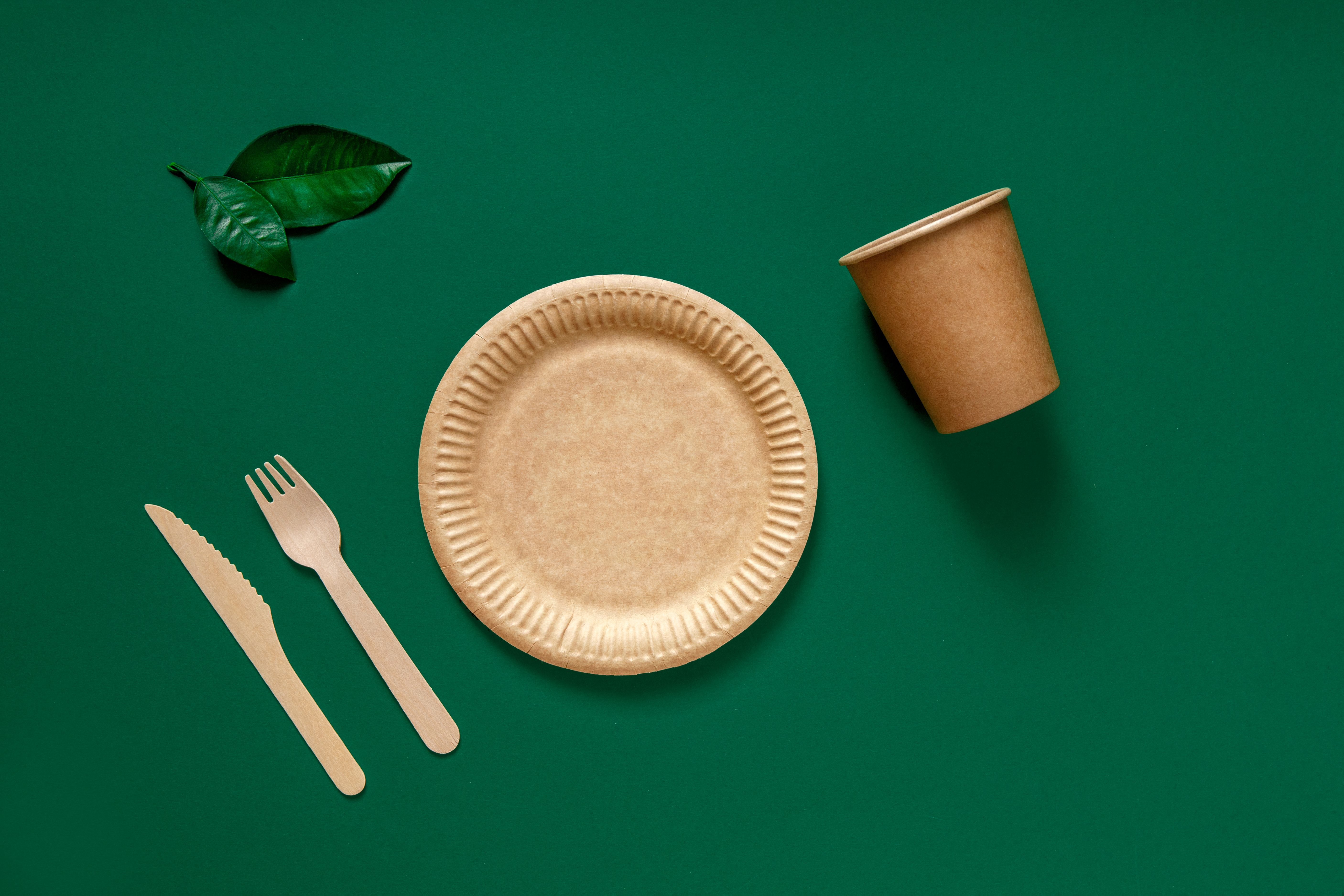 Eco-friendly disposable tableware for food with forks, knives and plates over green background. Top view