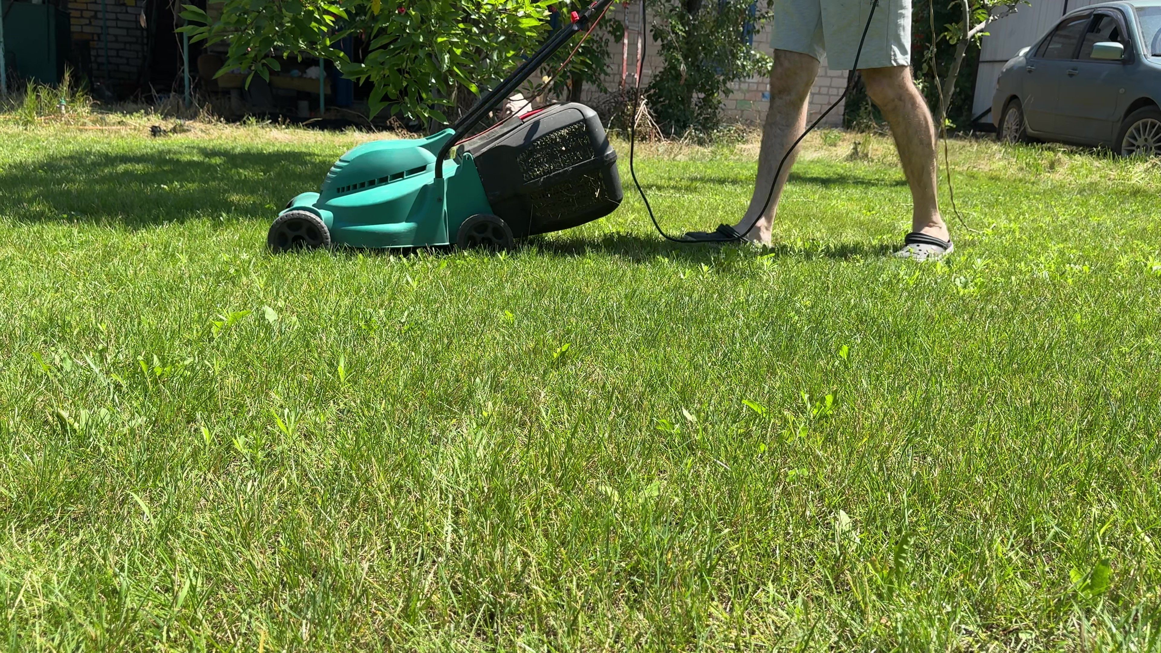 landscaping lawn care