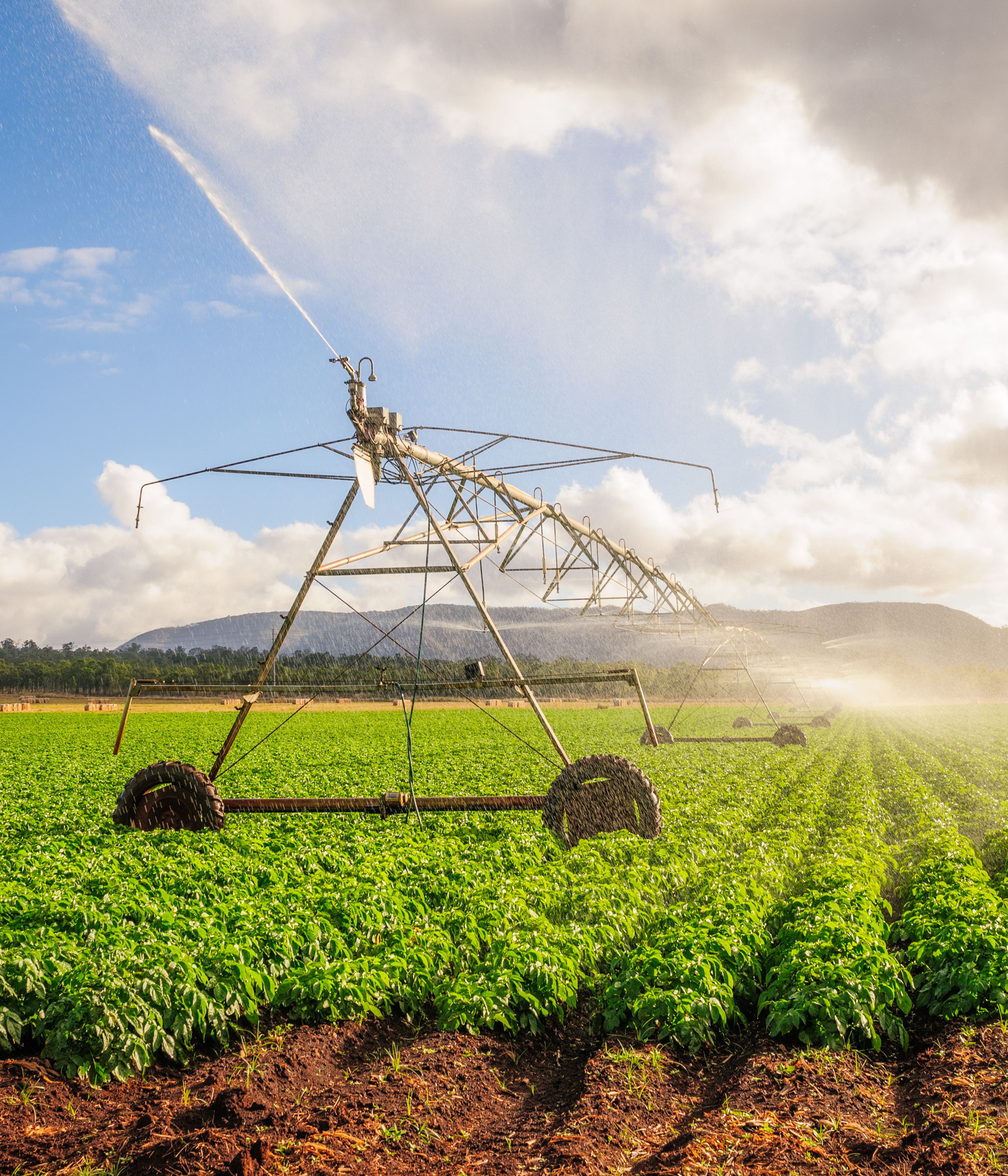 irrigation system