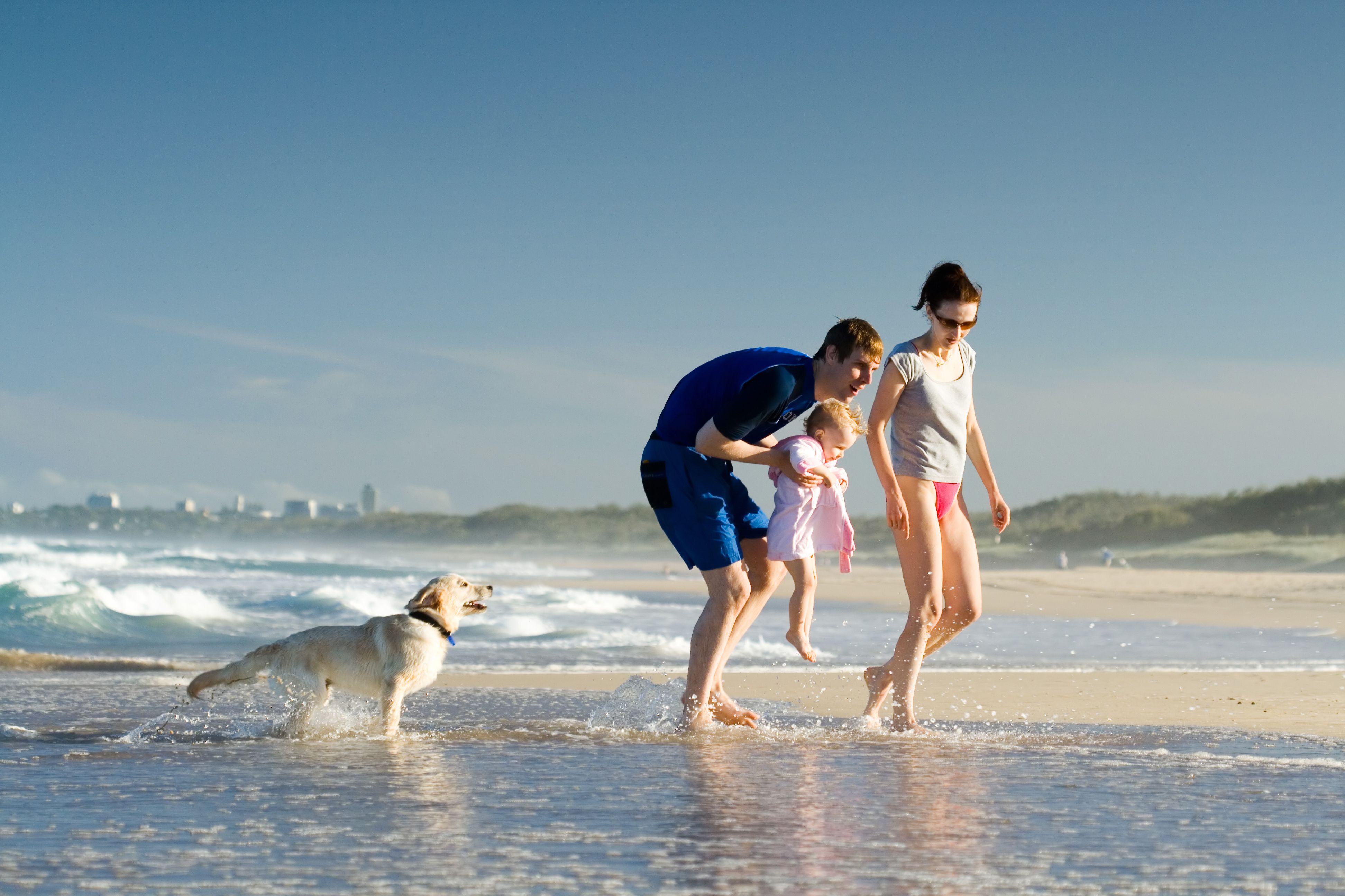 Spouses on the beach with family dog and daughter.