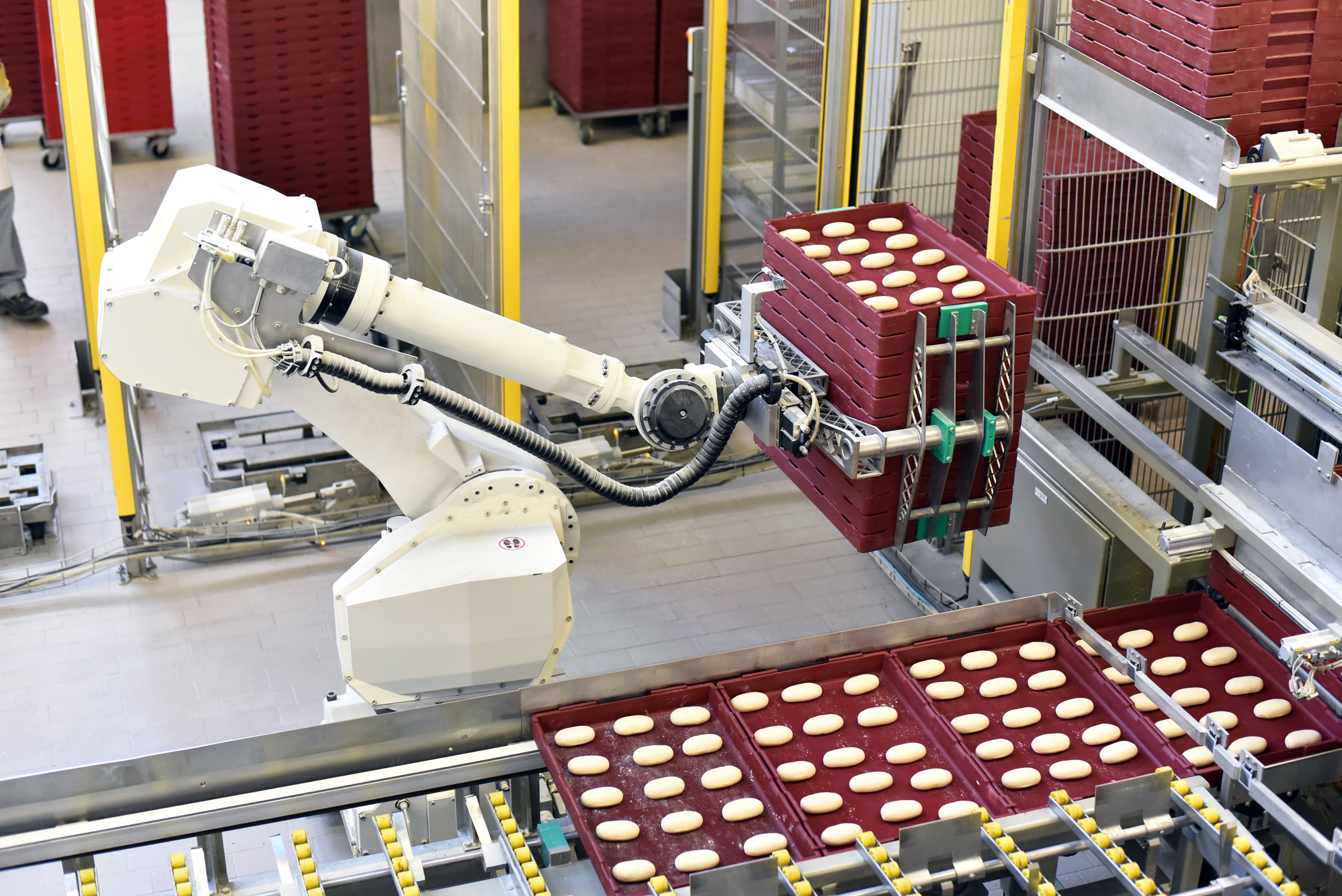 robotic food processing