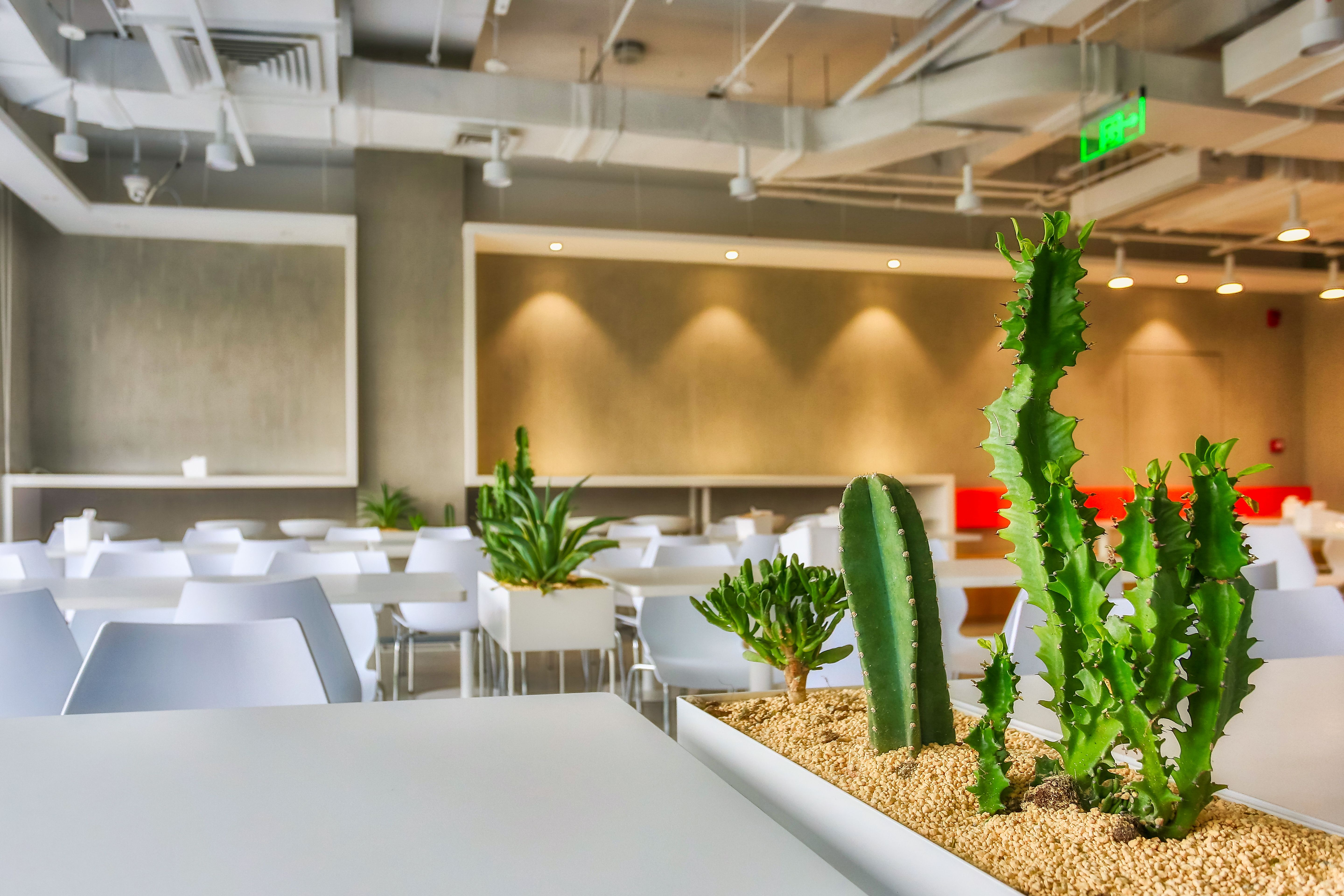 phoenix coworking space