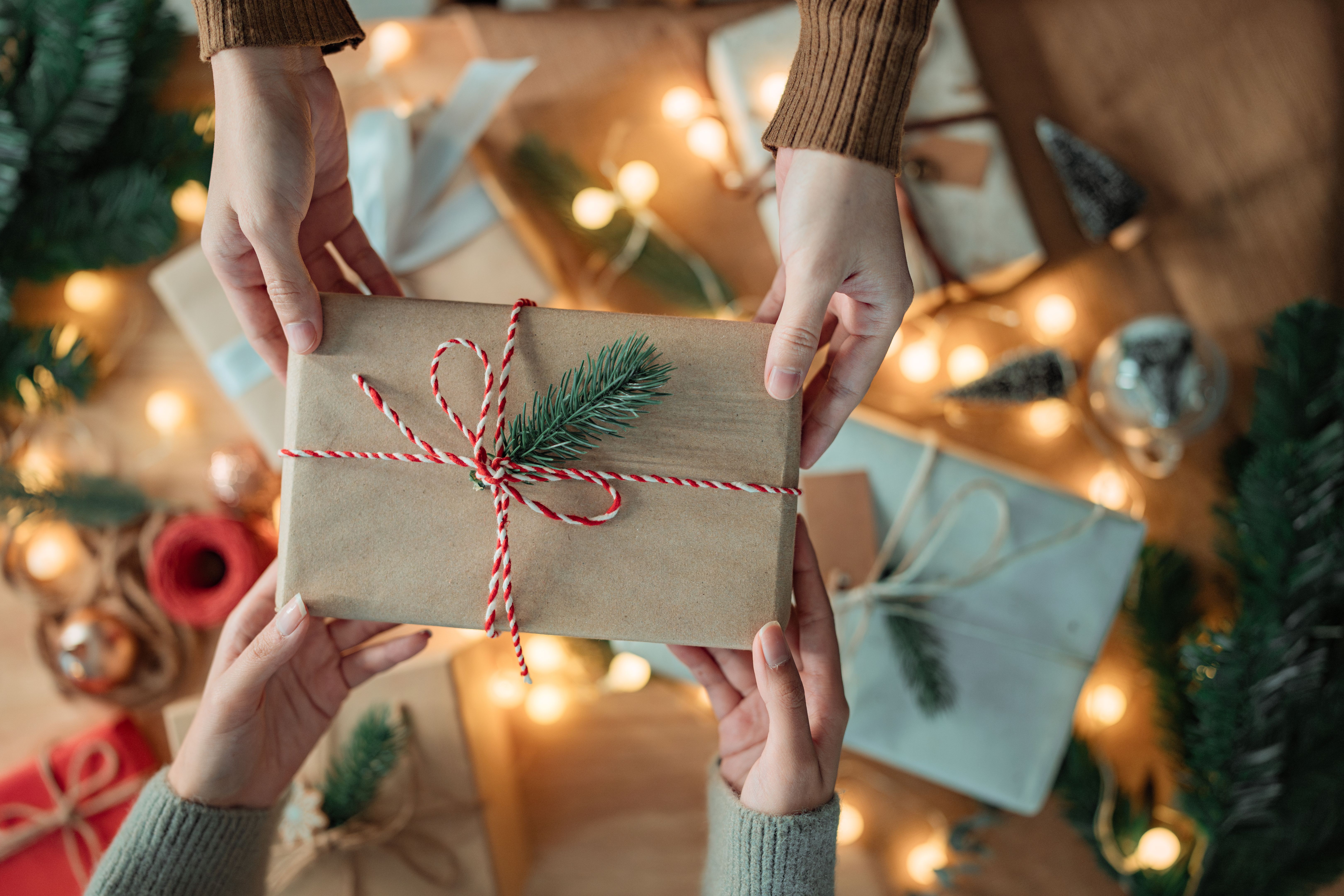 holiday gift ideas