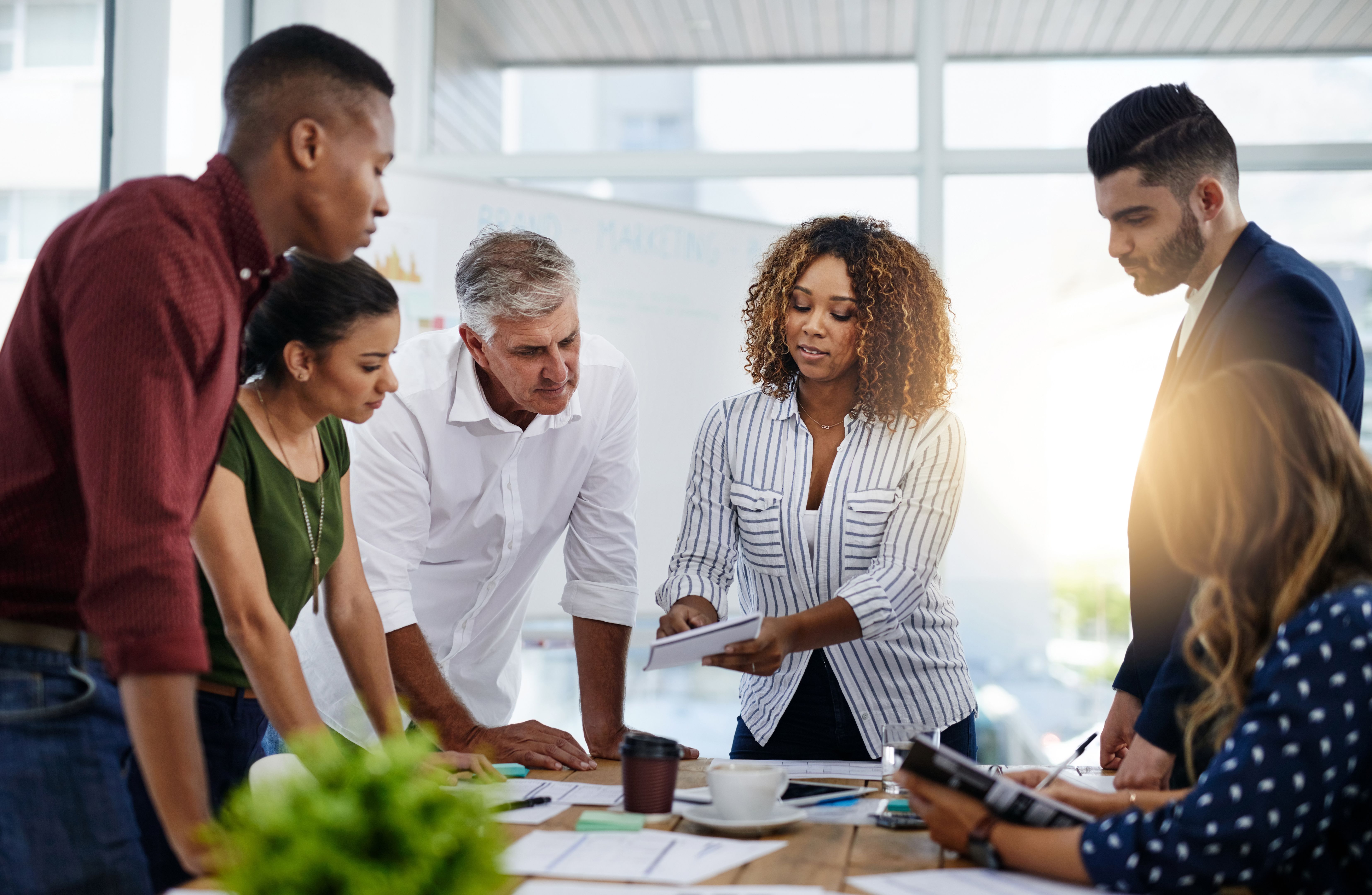 diverse business projects