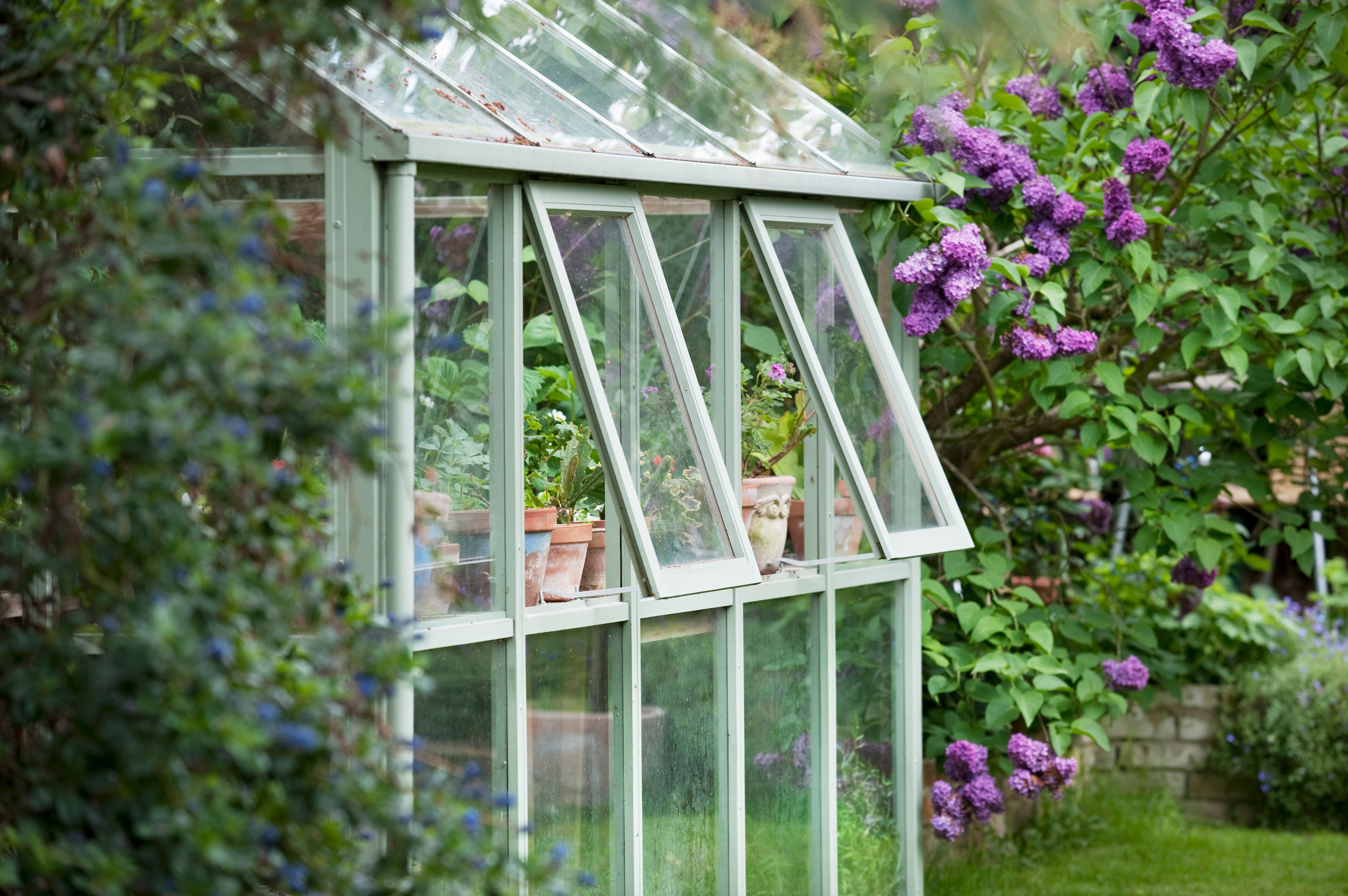 greenhouse ventilation