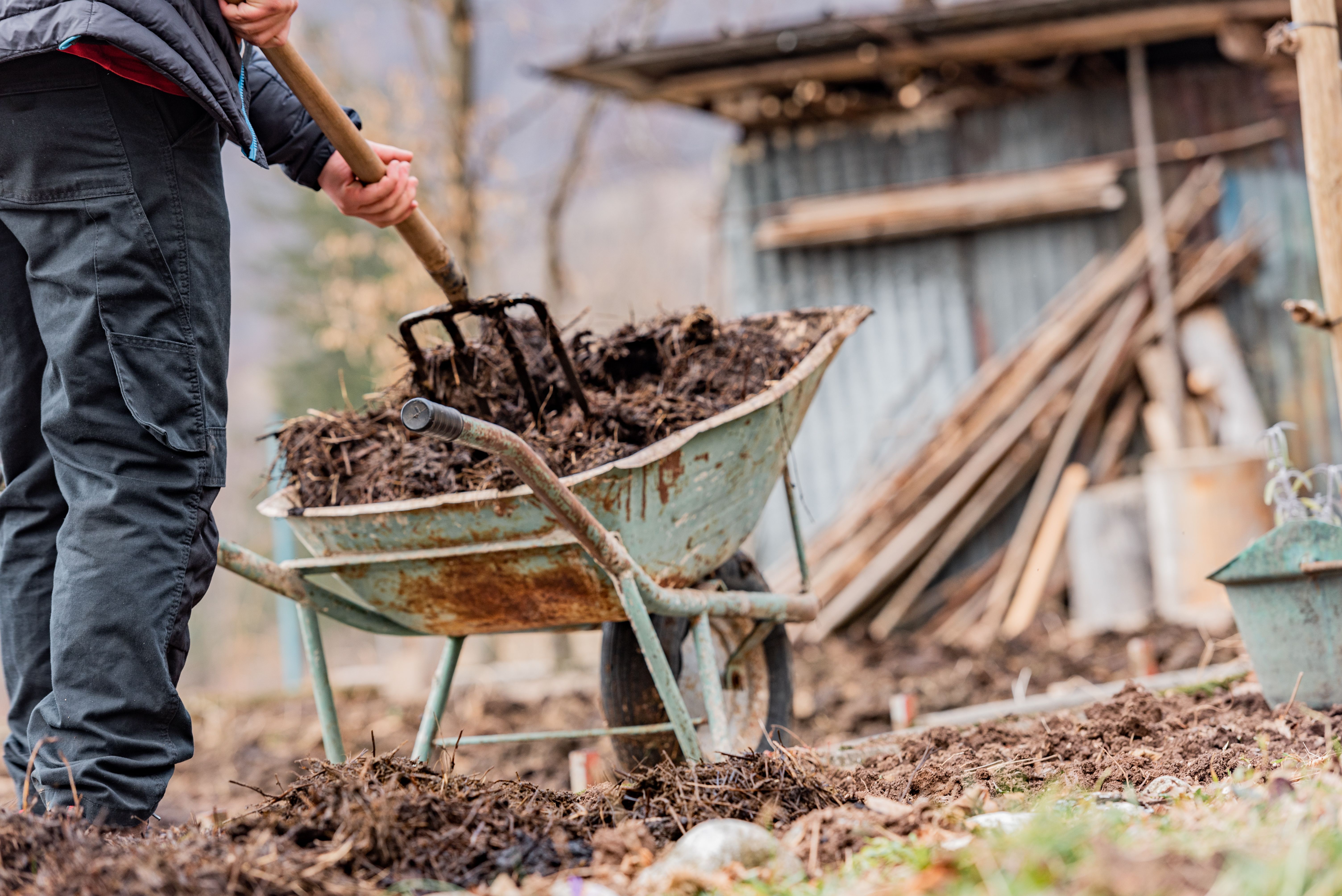 spreading compost