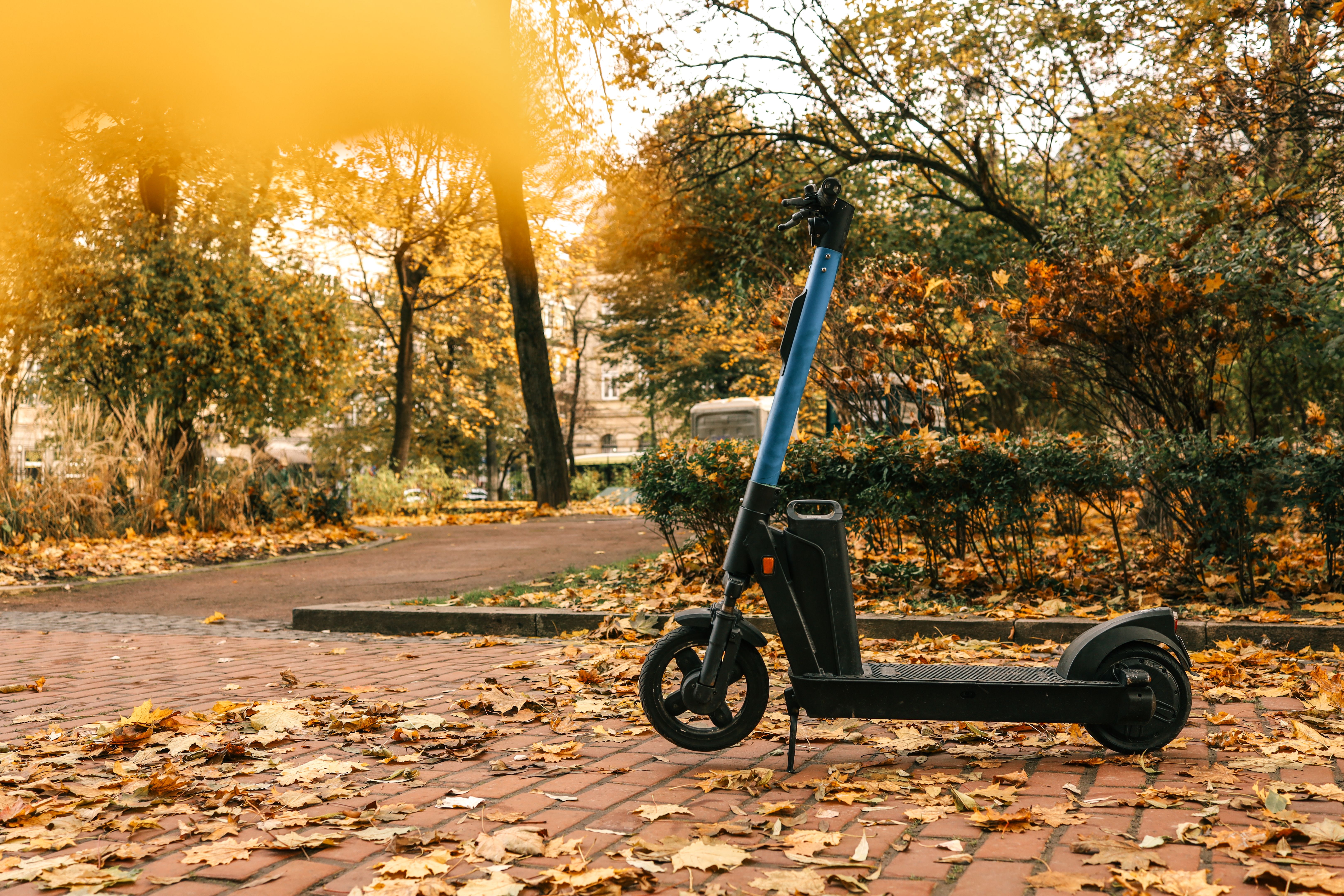 environmentally friendly carpool