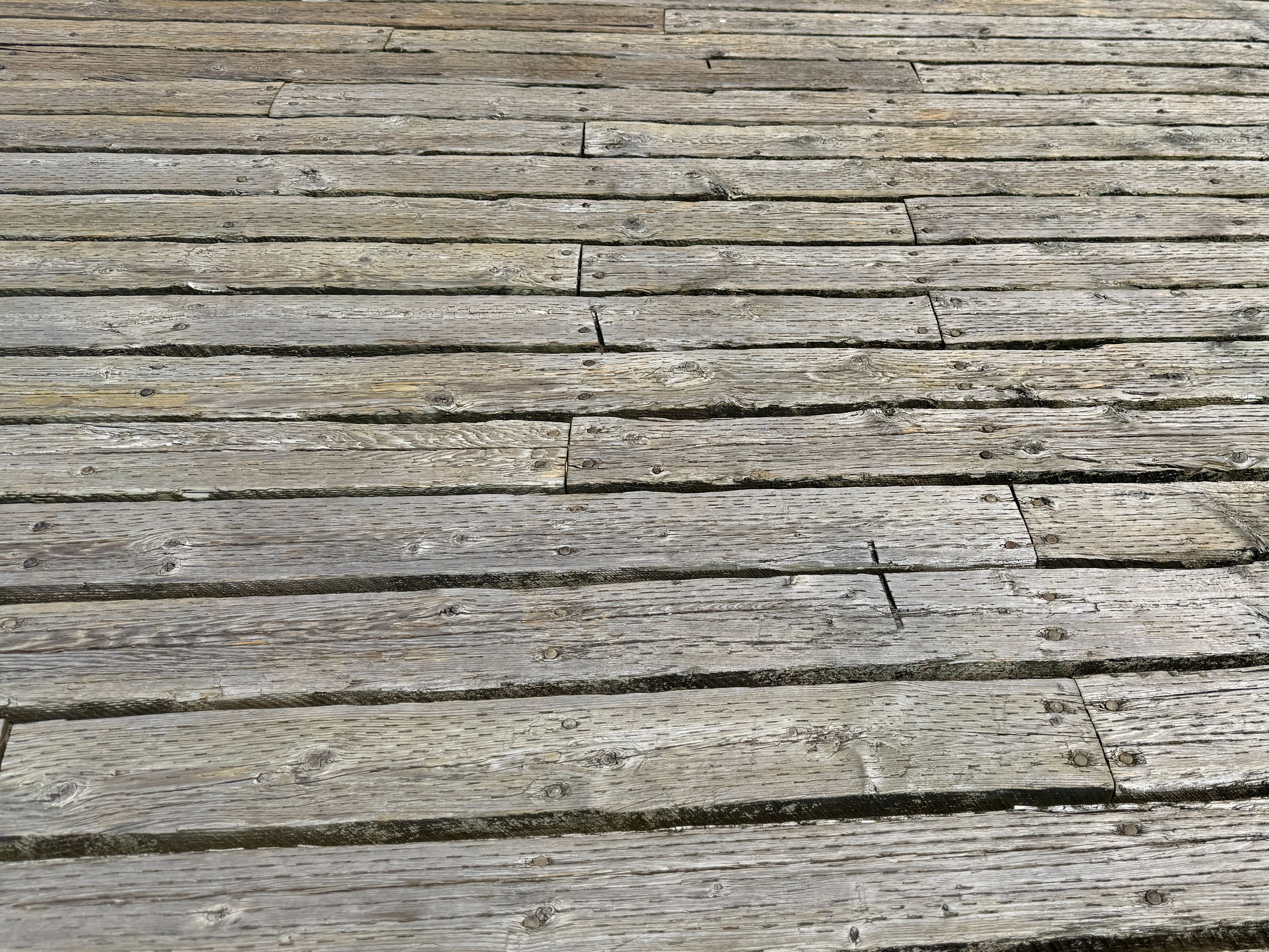 timber decking