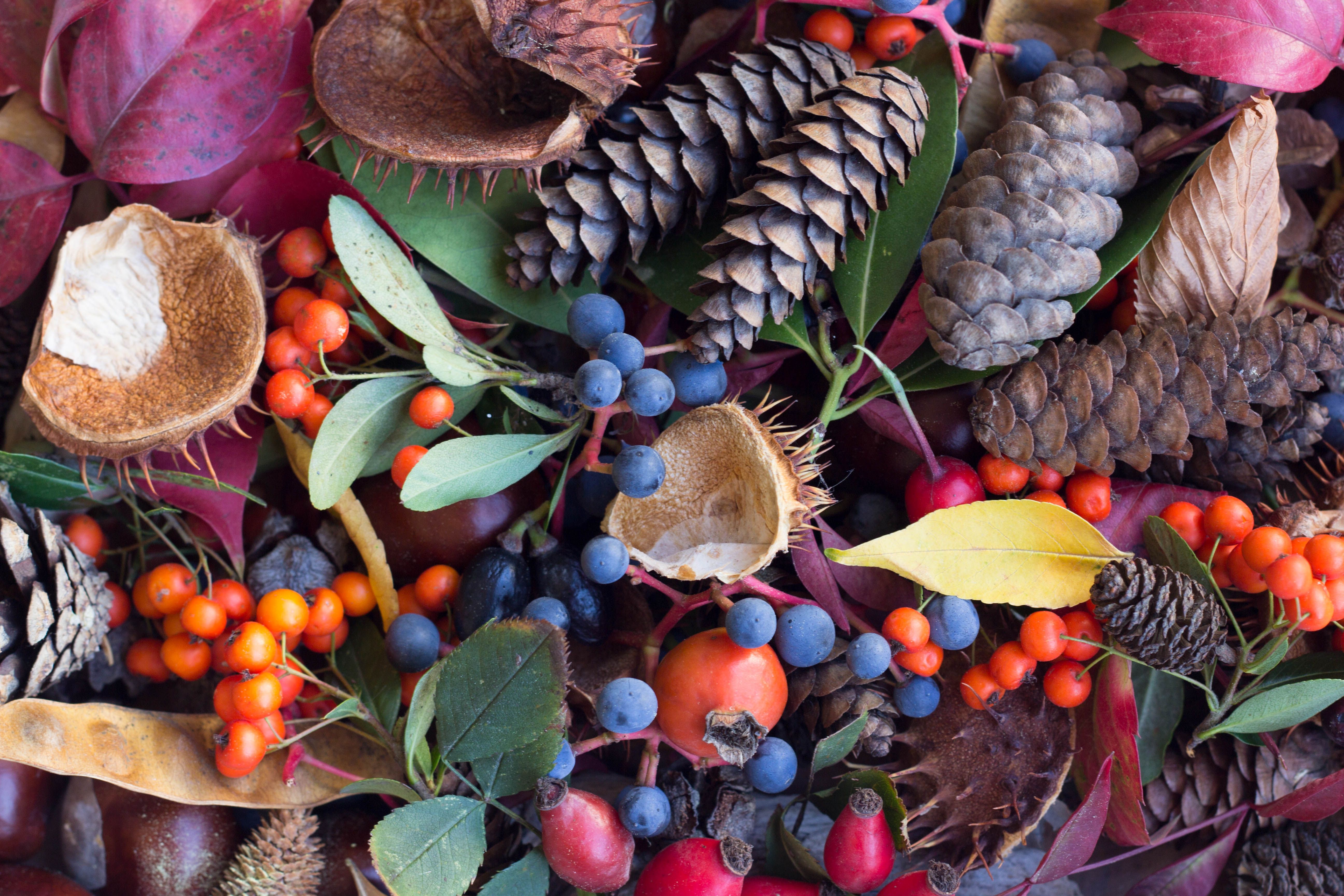 autumn wreath