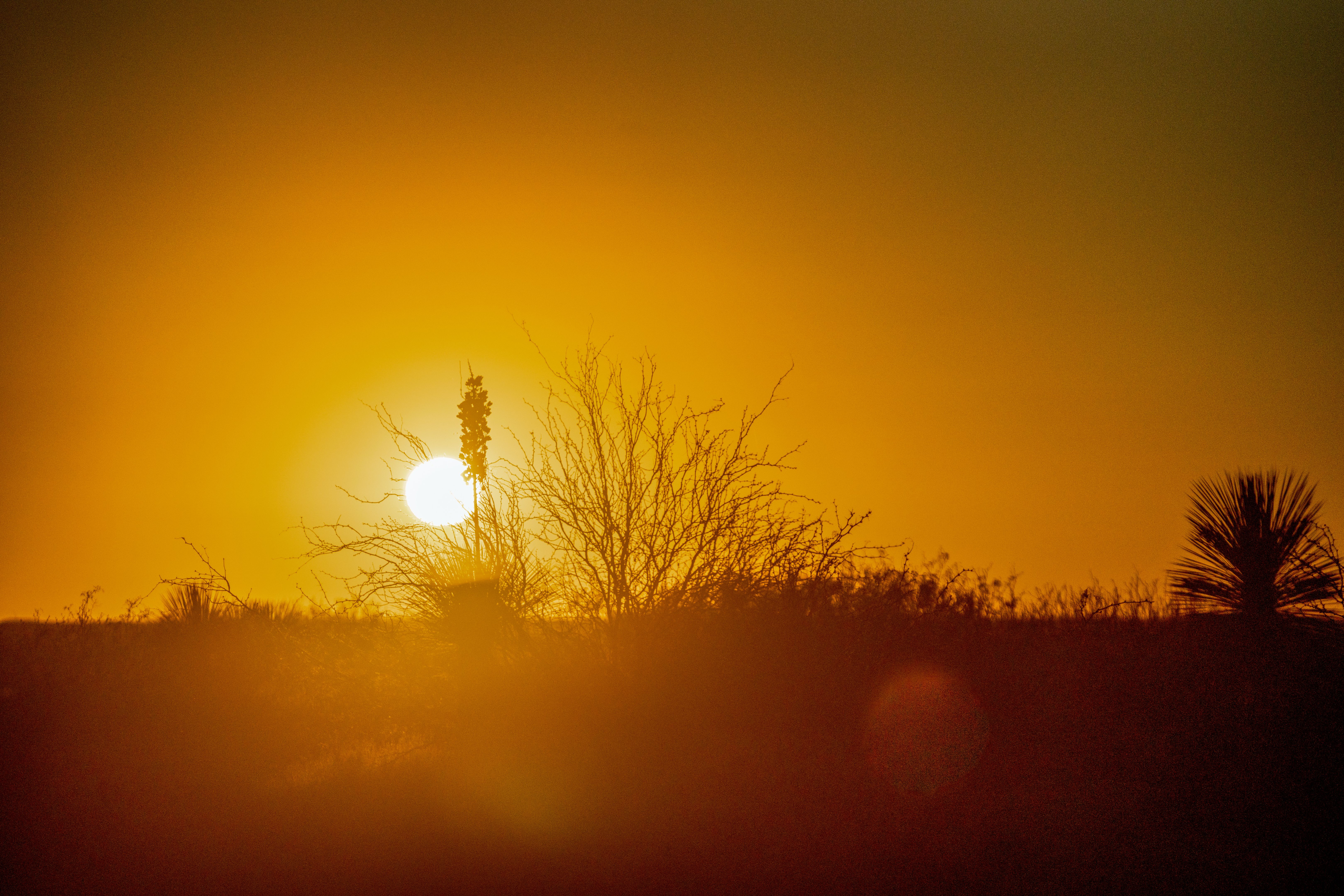 A Beautiful Sunset Drive Through West Texas And New Mexico On A Lonely County Road