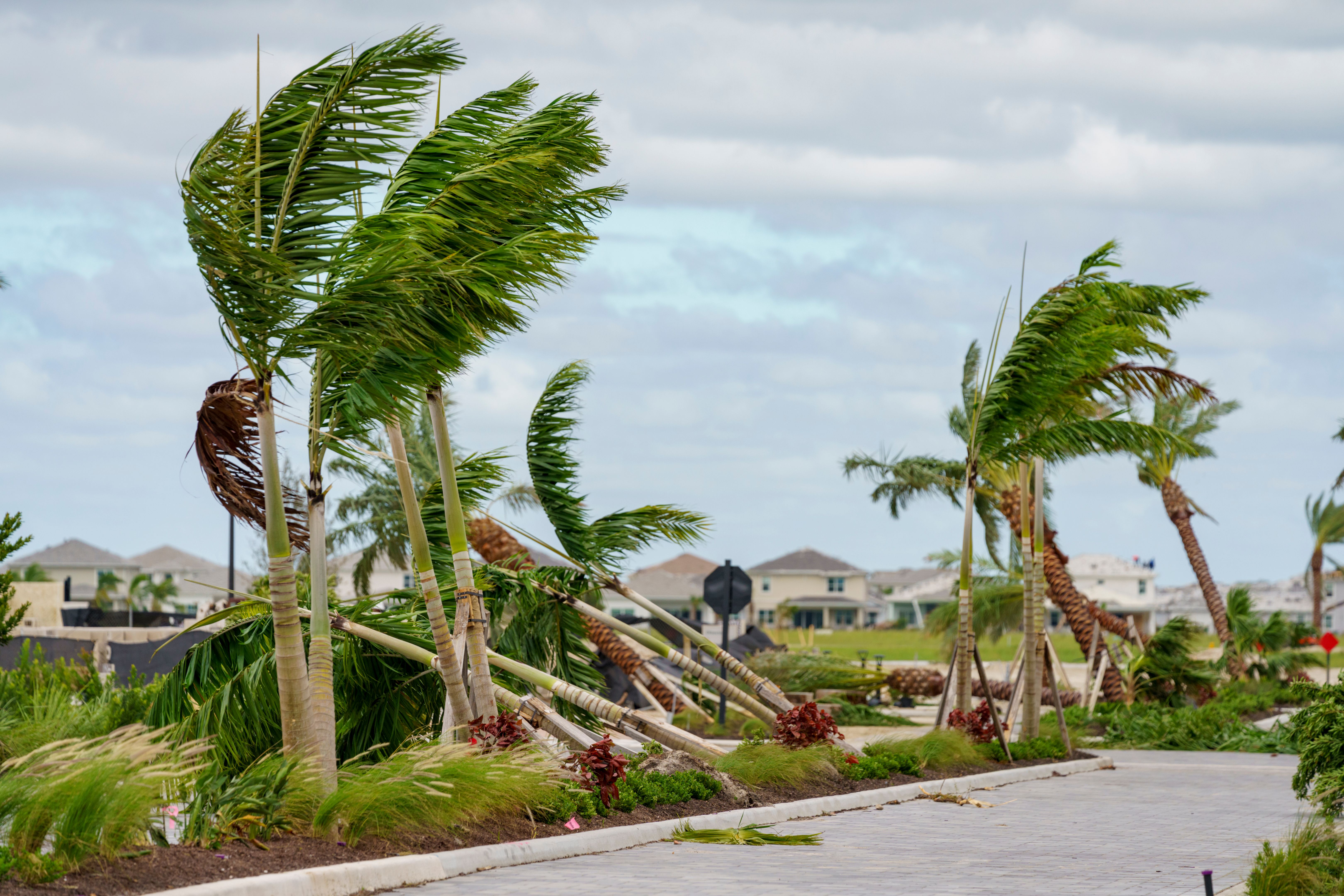 florida hurricane