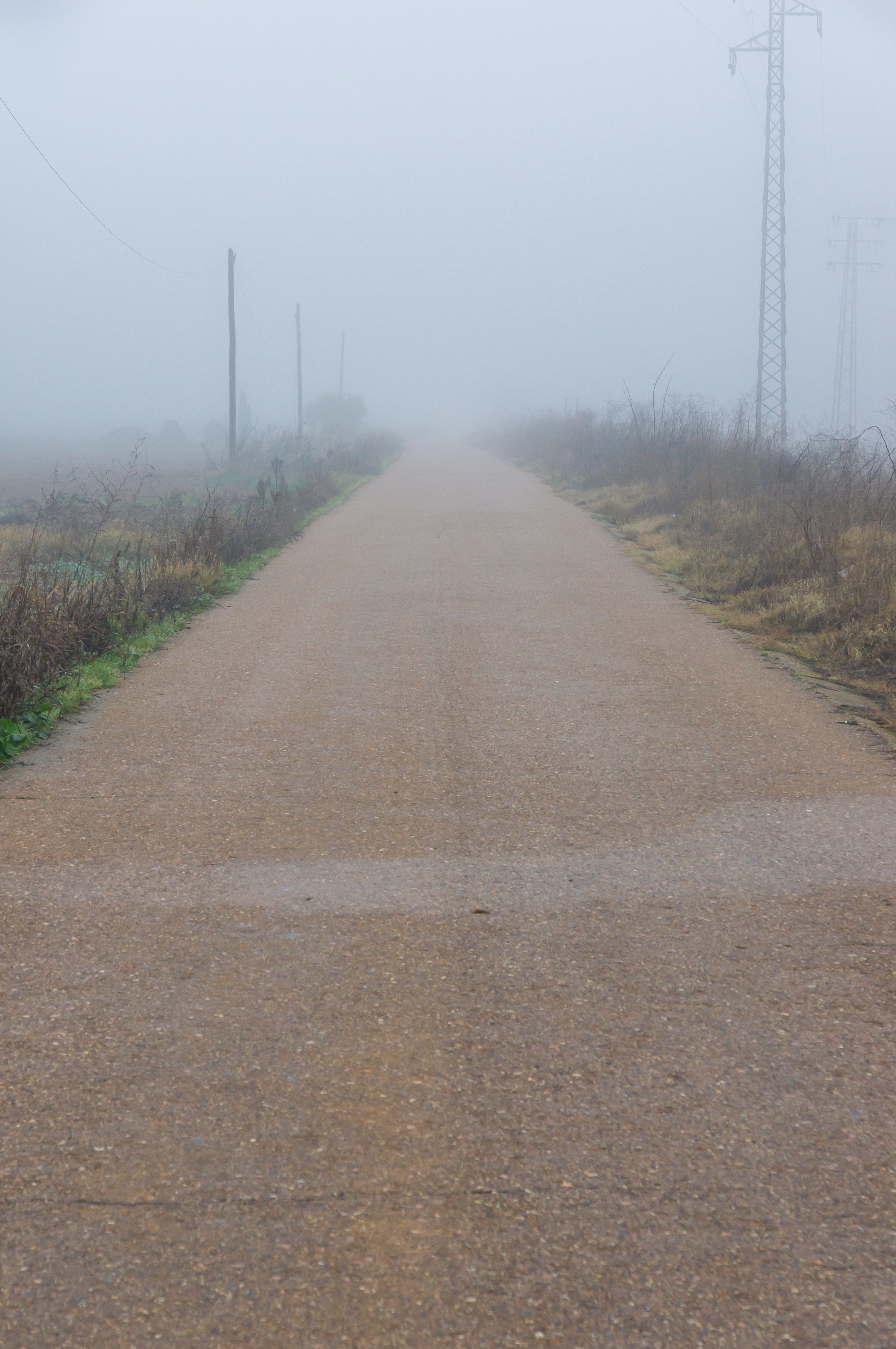 Route brumeuse symbolisant l'incertitude en entrepreneuriat - gérer le flou en affaires Route brumeuse symbolisant l'incertitude en entrepreneuriat - gérer le flou en affaires