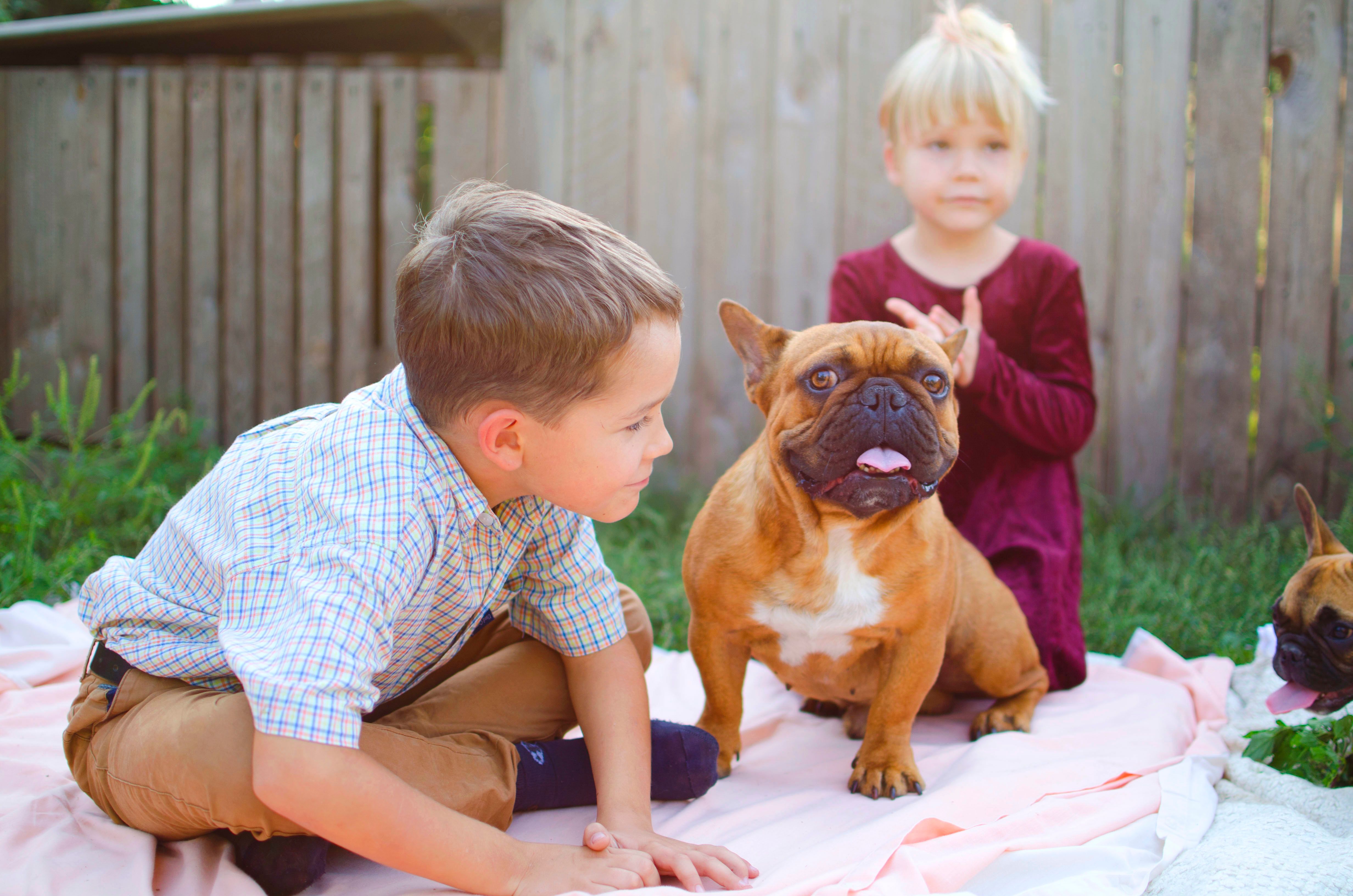 Happy kids playing with puppies in sunny day. Cute boy and girl Happy kids playing with puppies in sunny day. Cute boy and girl