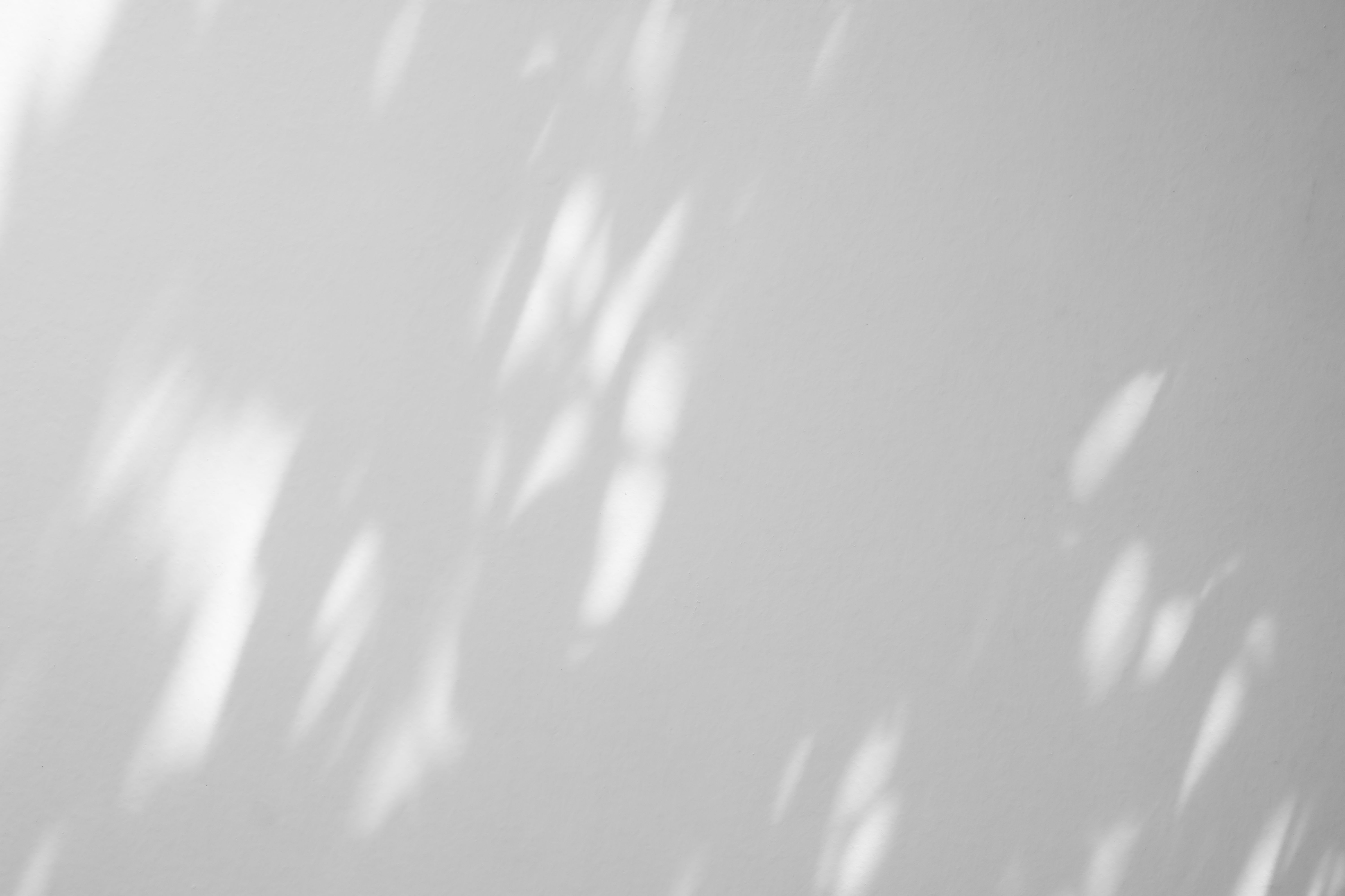 summer light shadows