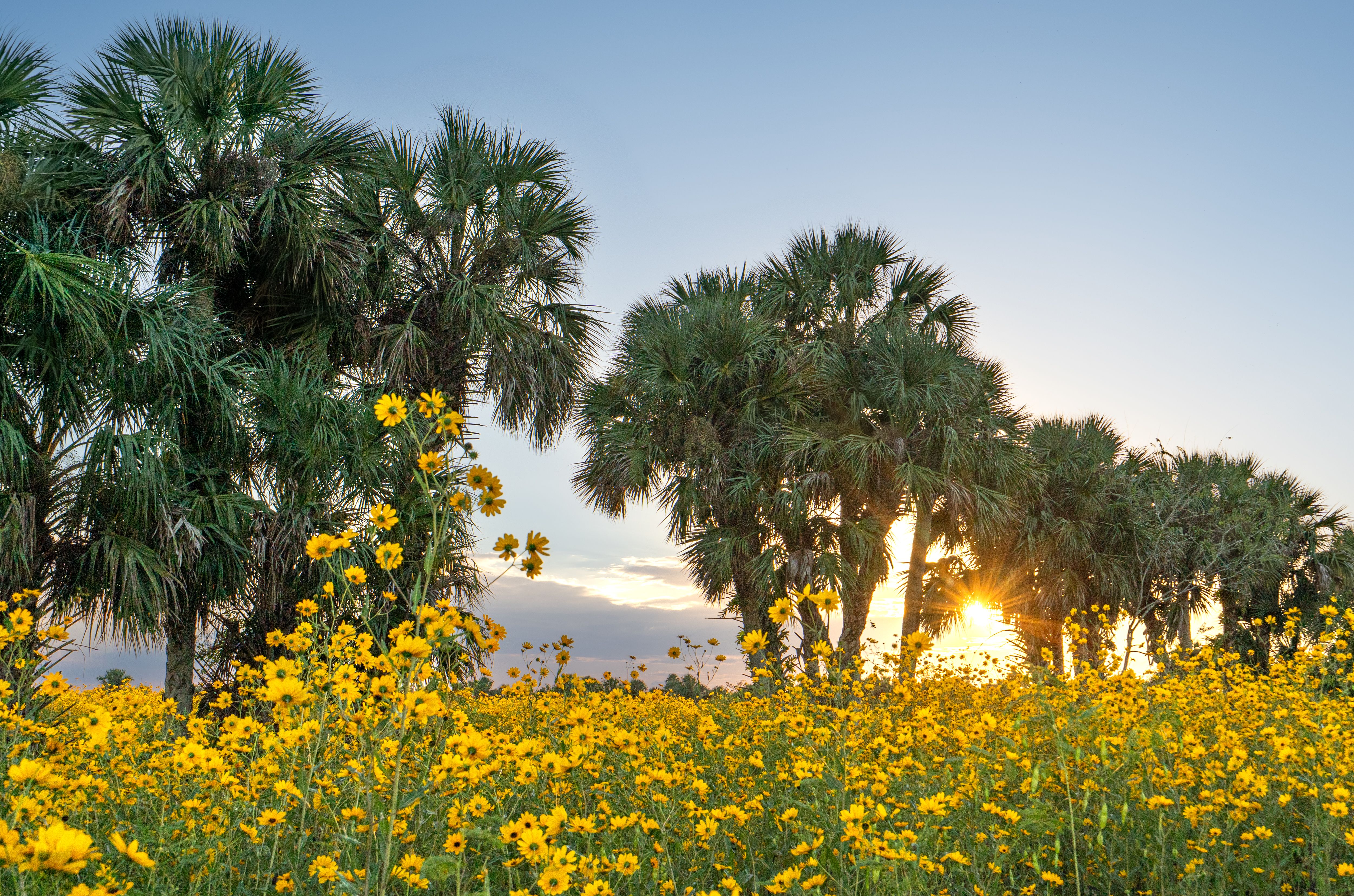south florida seasonal
