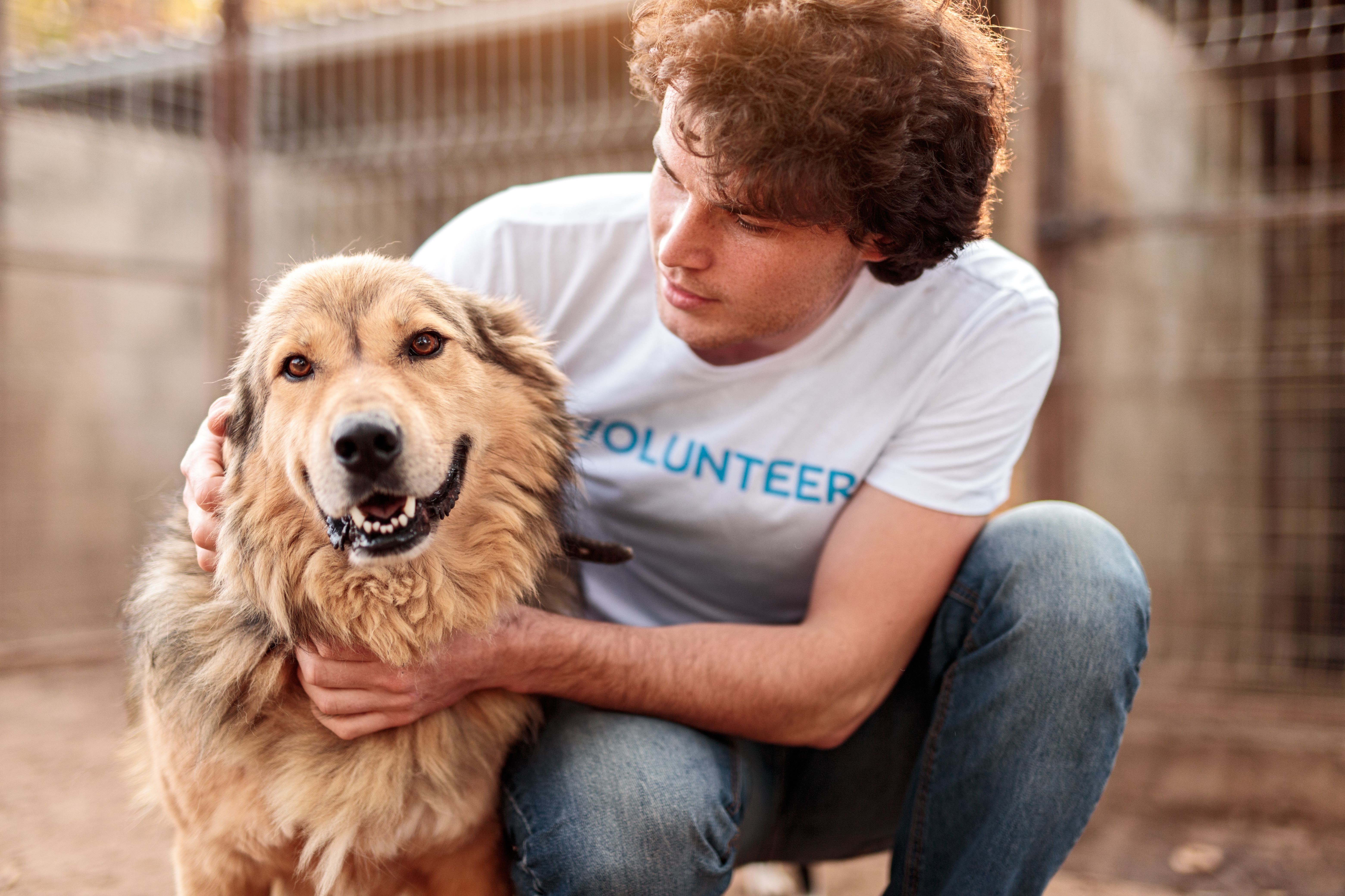 volunteering animals
