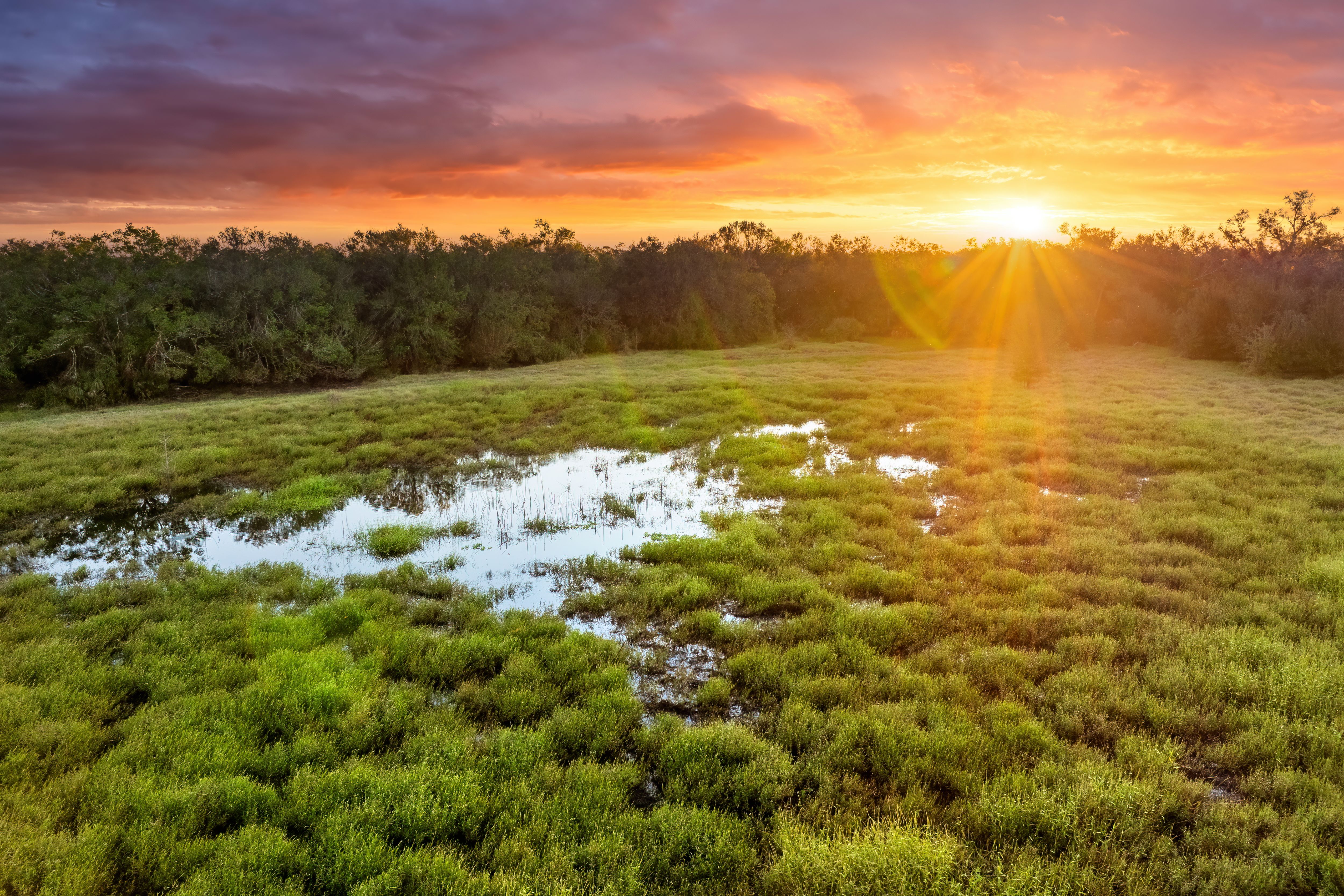 everglades national park