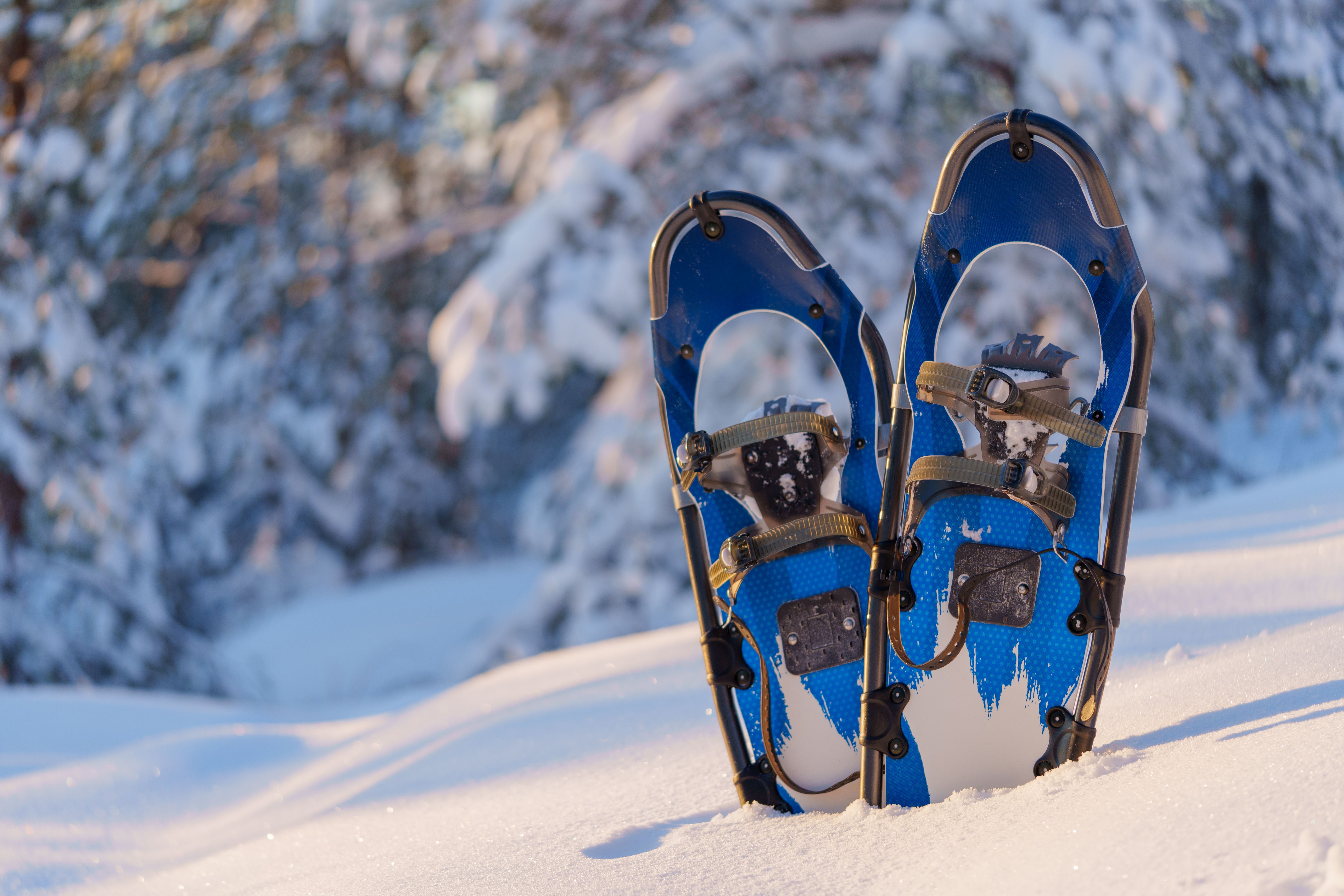 snowshoeing
