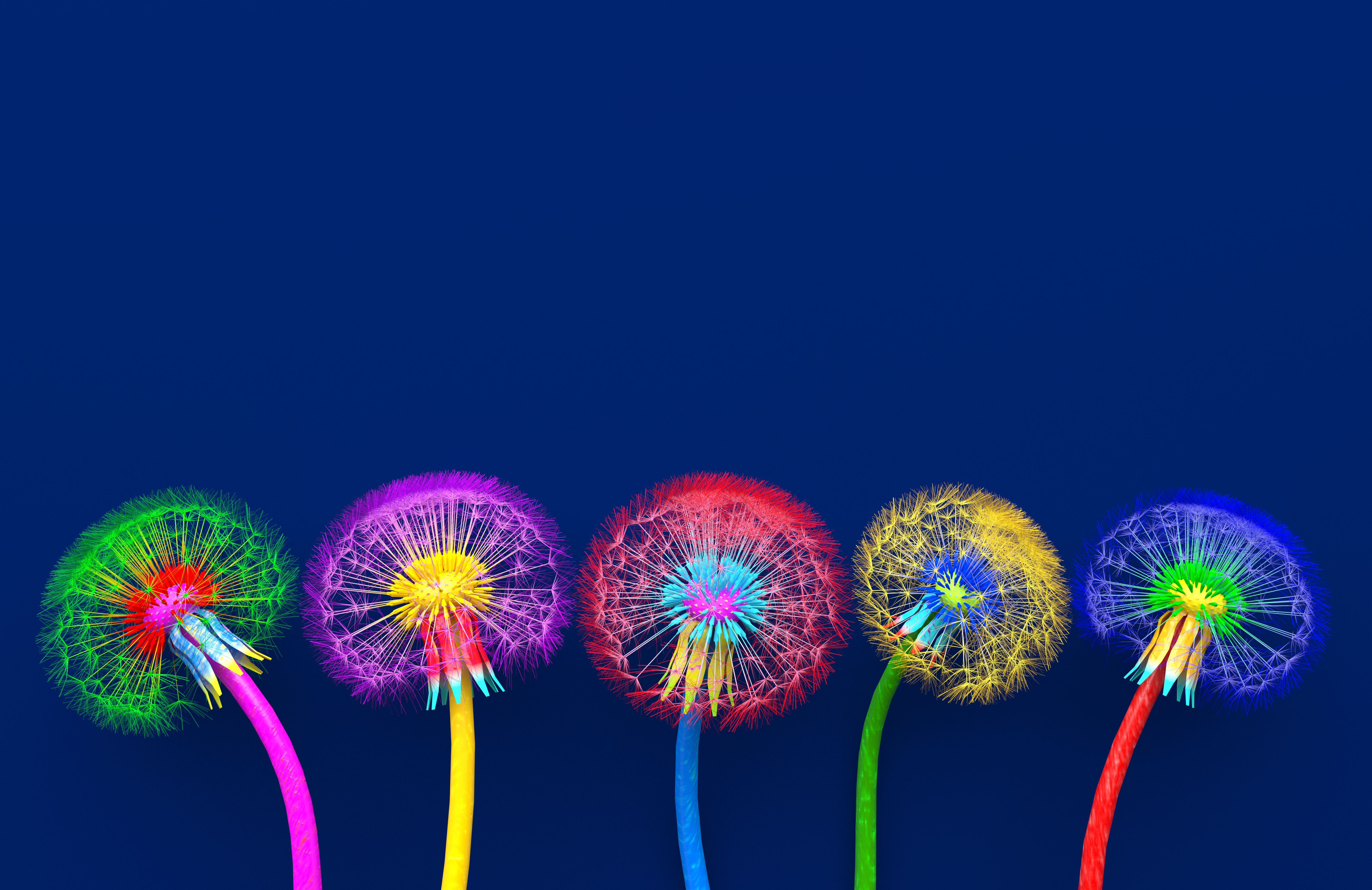 Bouquet of five flowers of blossoming dandelions of unusual colorful colors. Bright multi-colored abstract dandelions on a blue background. Creative conceptual illustration. opy space. 3D render