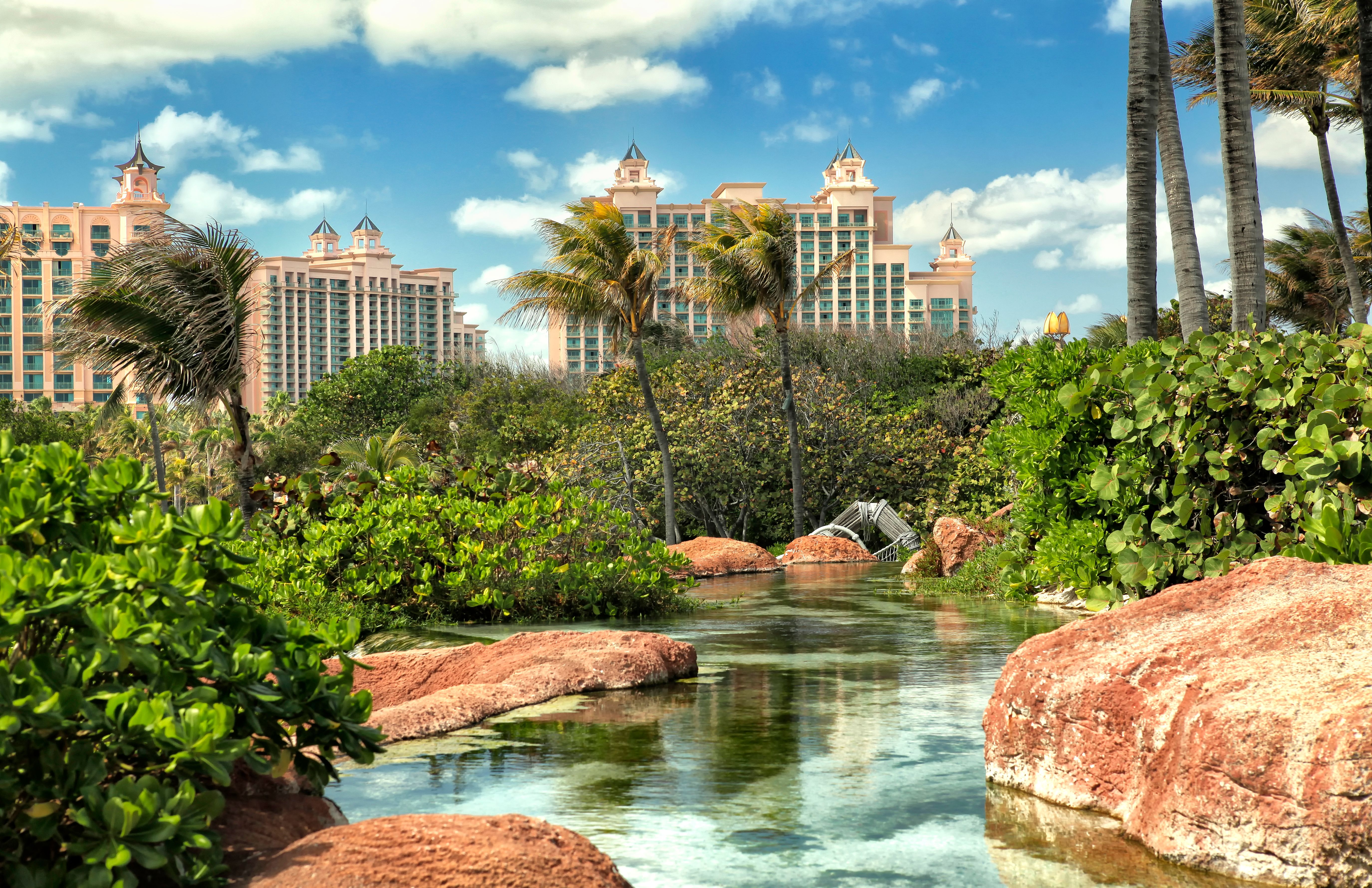 paradise island