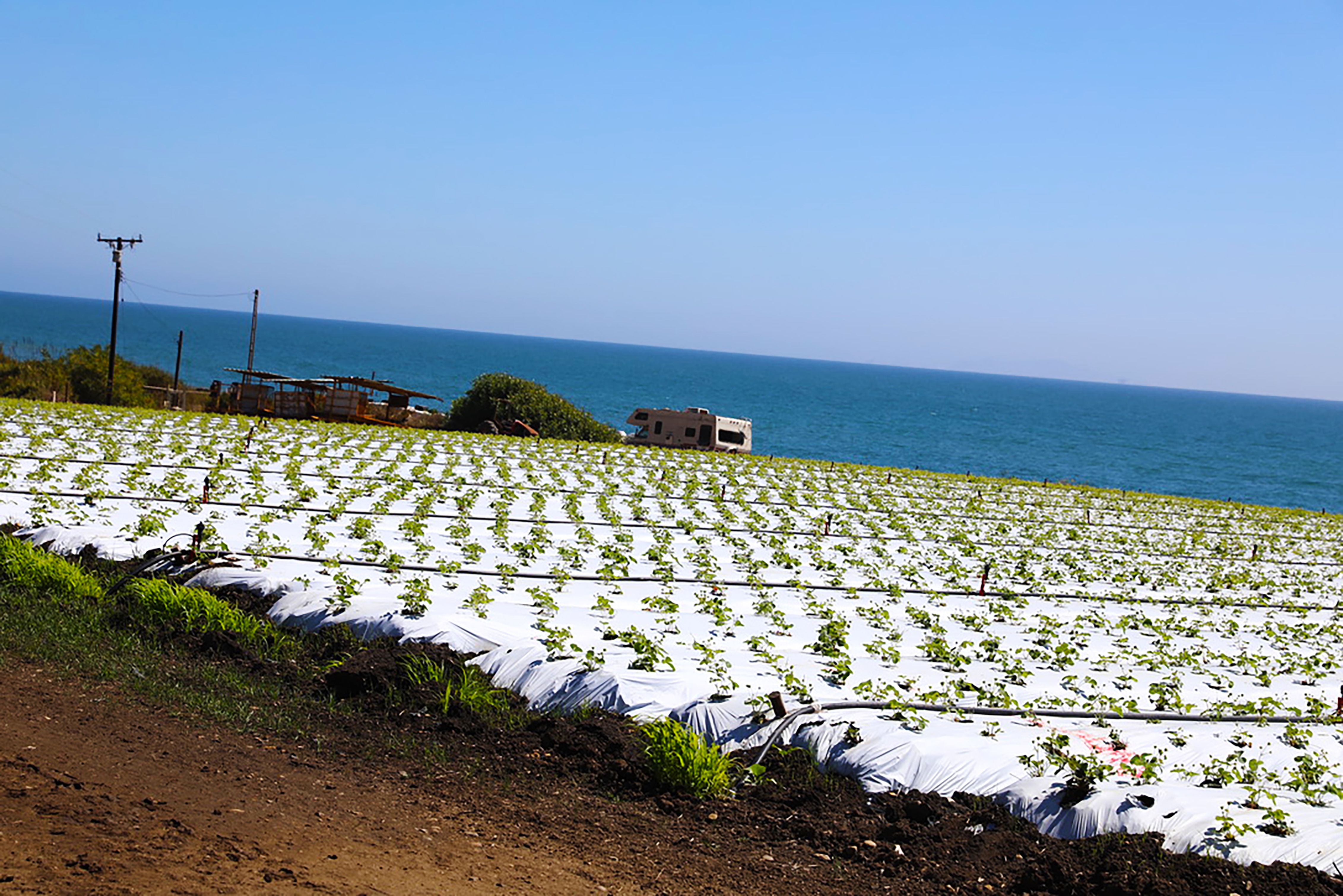 california farm technology