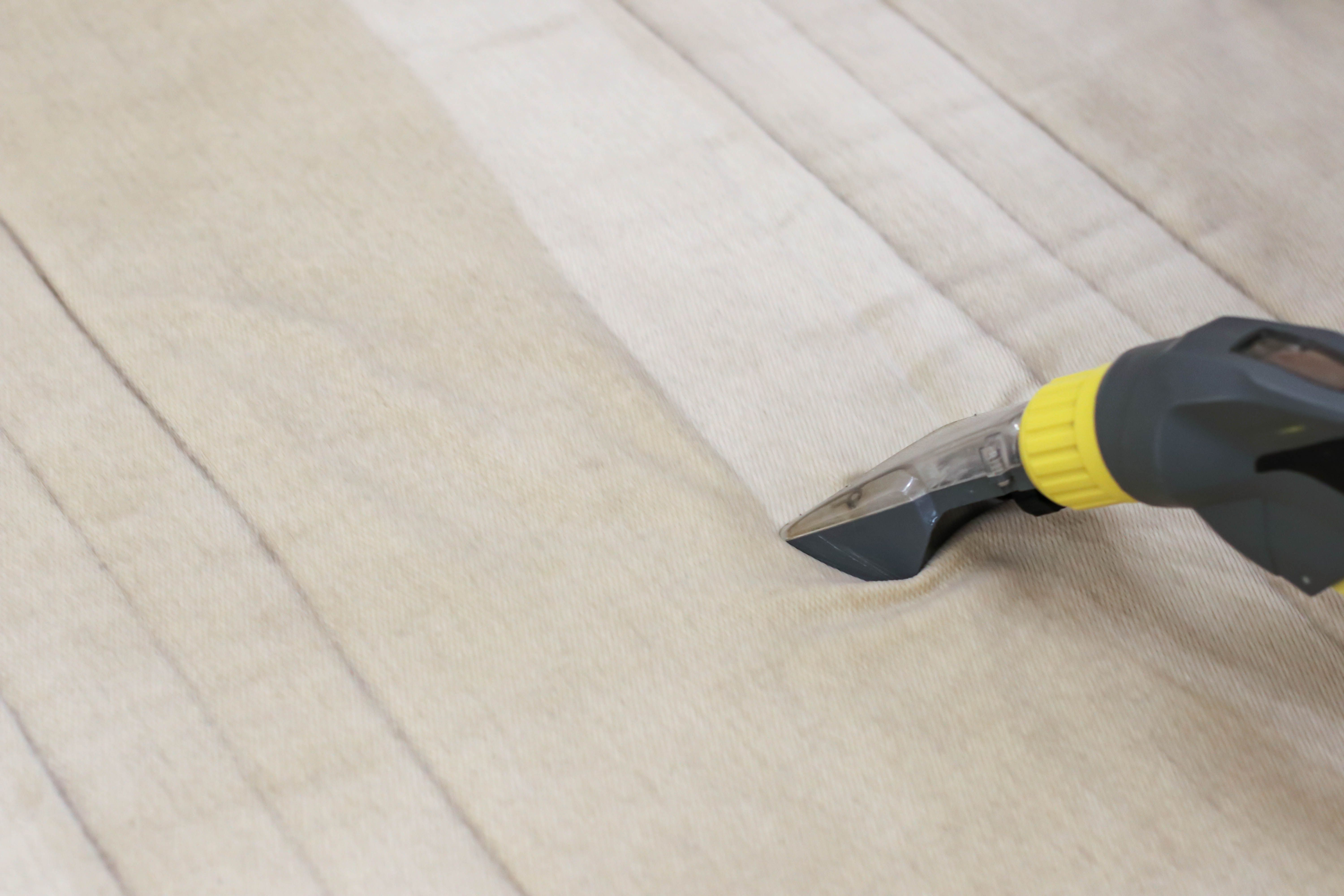 Man dry cleaner's employee hand in protective rubber glove cleaning sofa with professionally extraction method. Early spring regular cleanup. Commercial cleaning company concept. Closeup