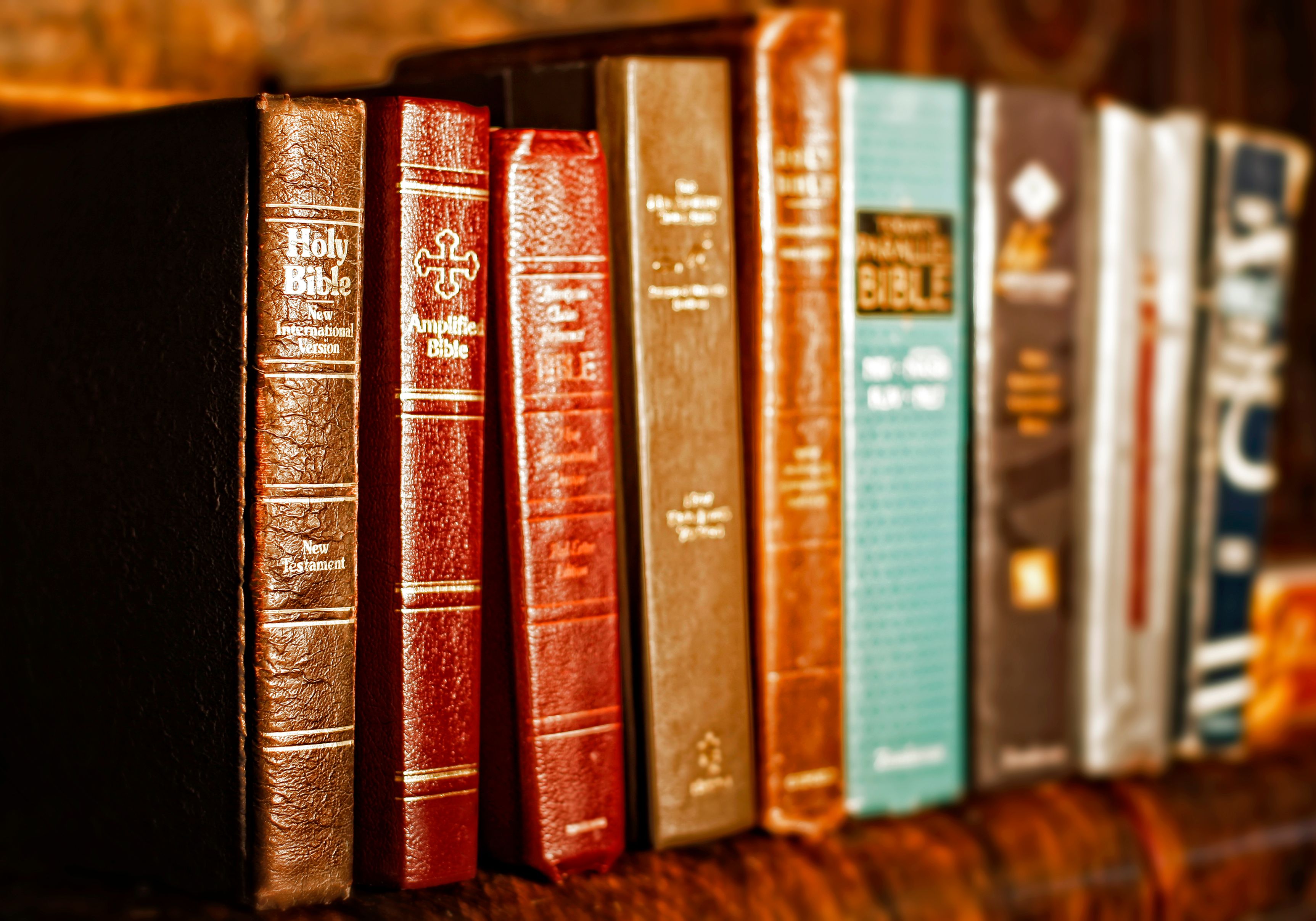bible translation
