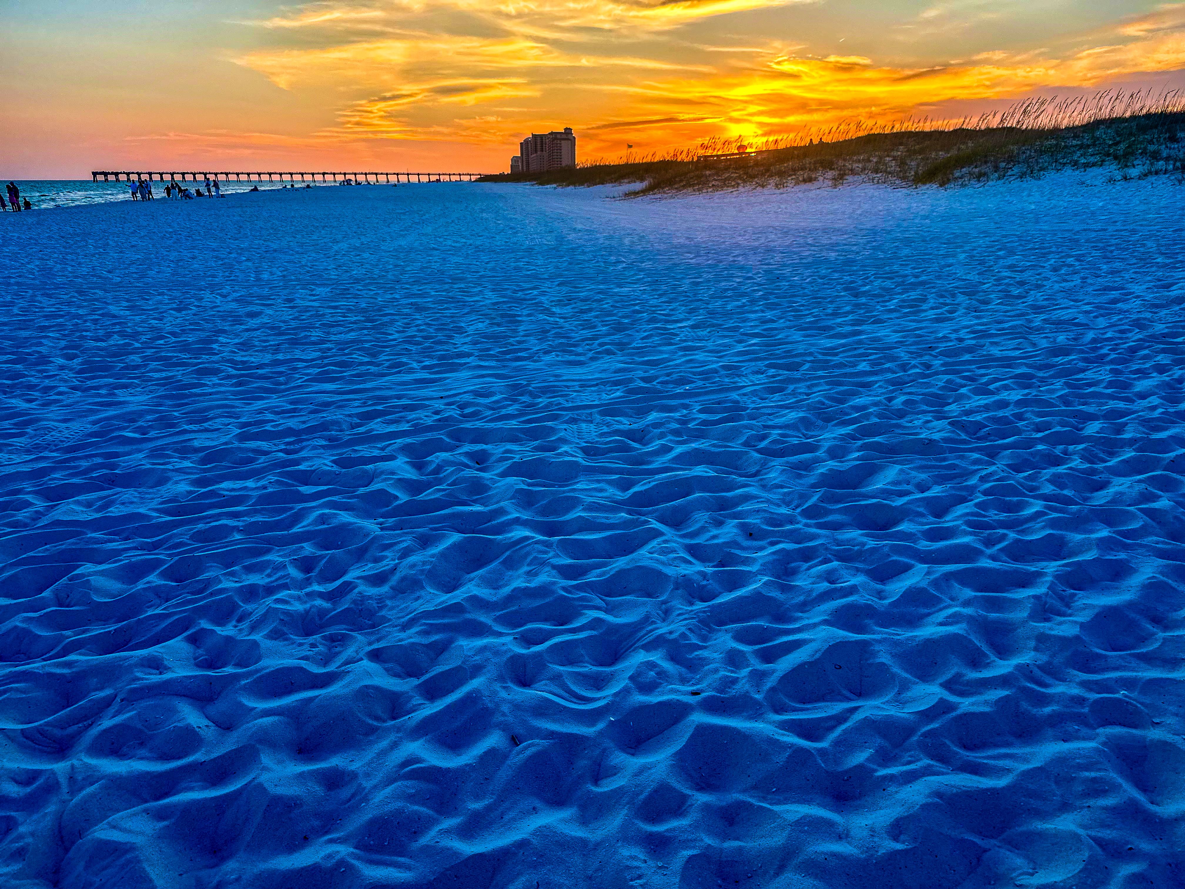 florida digital marketing