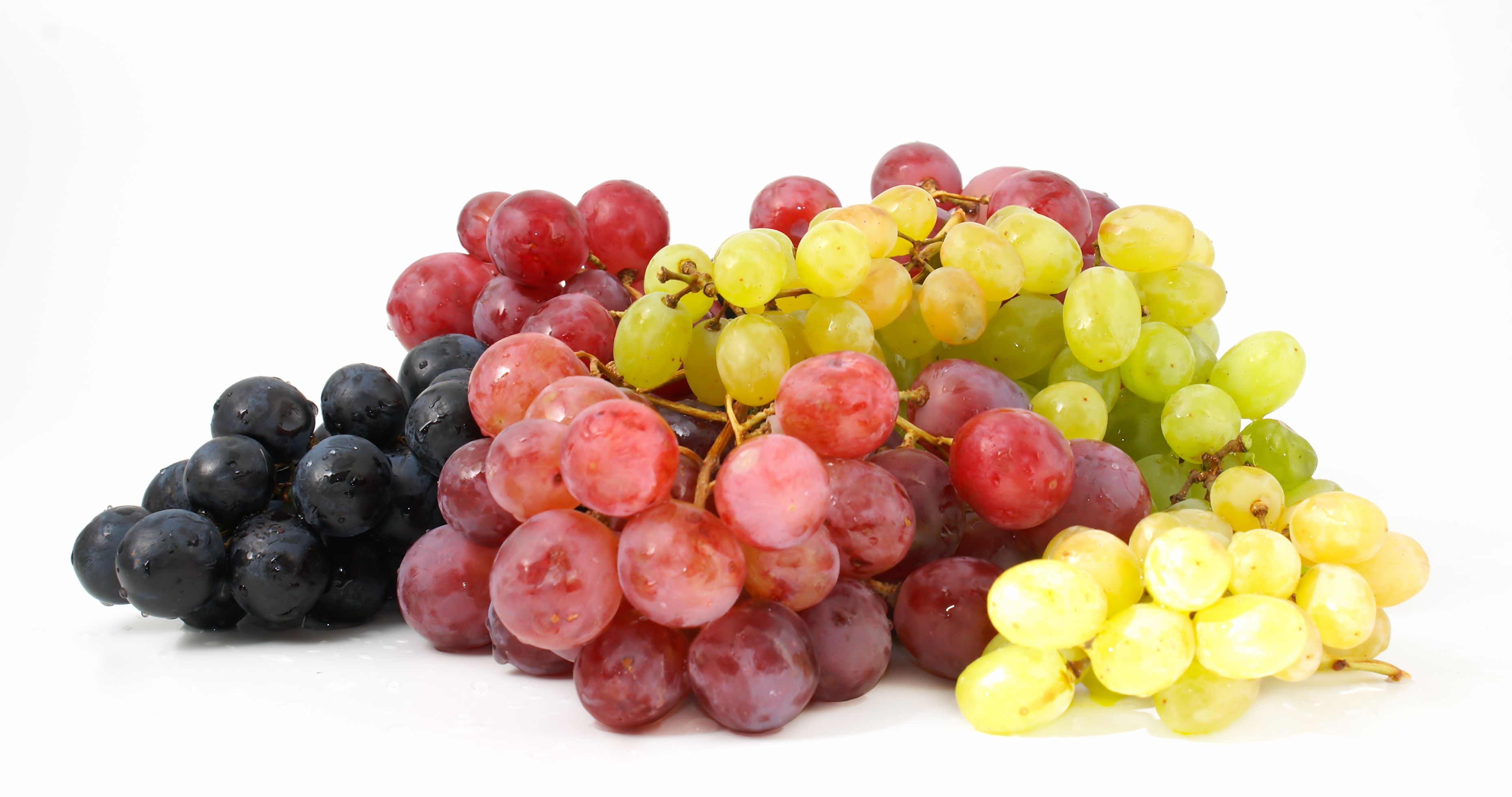 grape variety